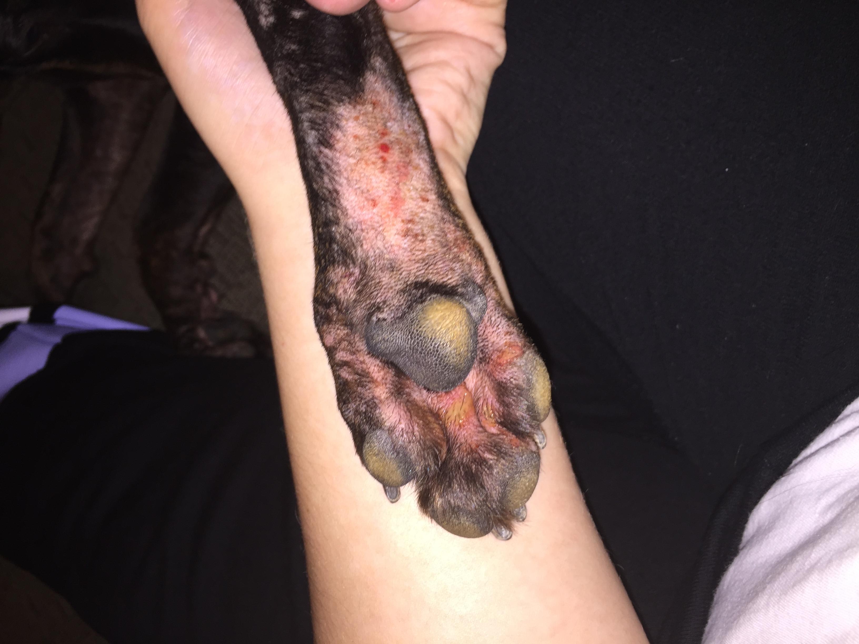 Question details sensitive content