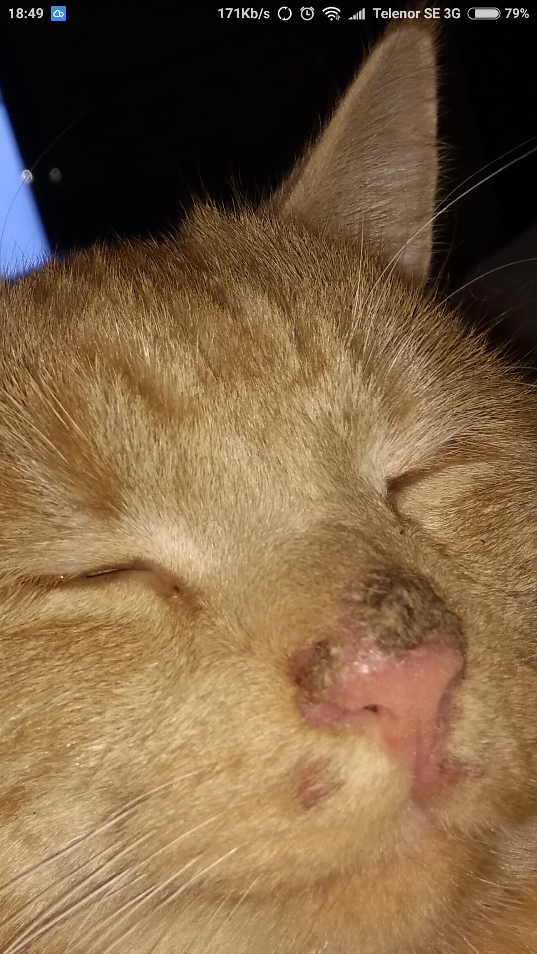 Question details sensitive content