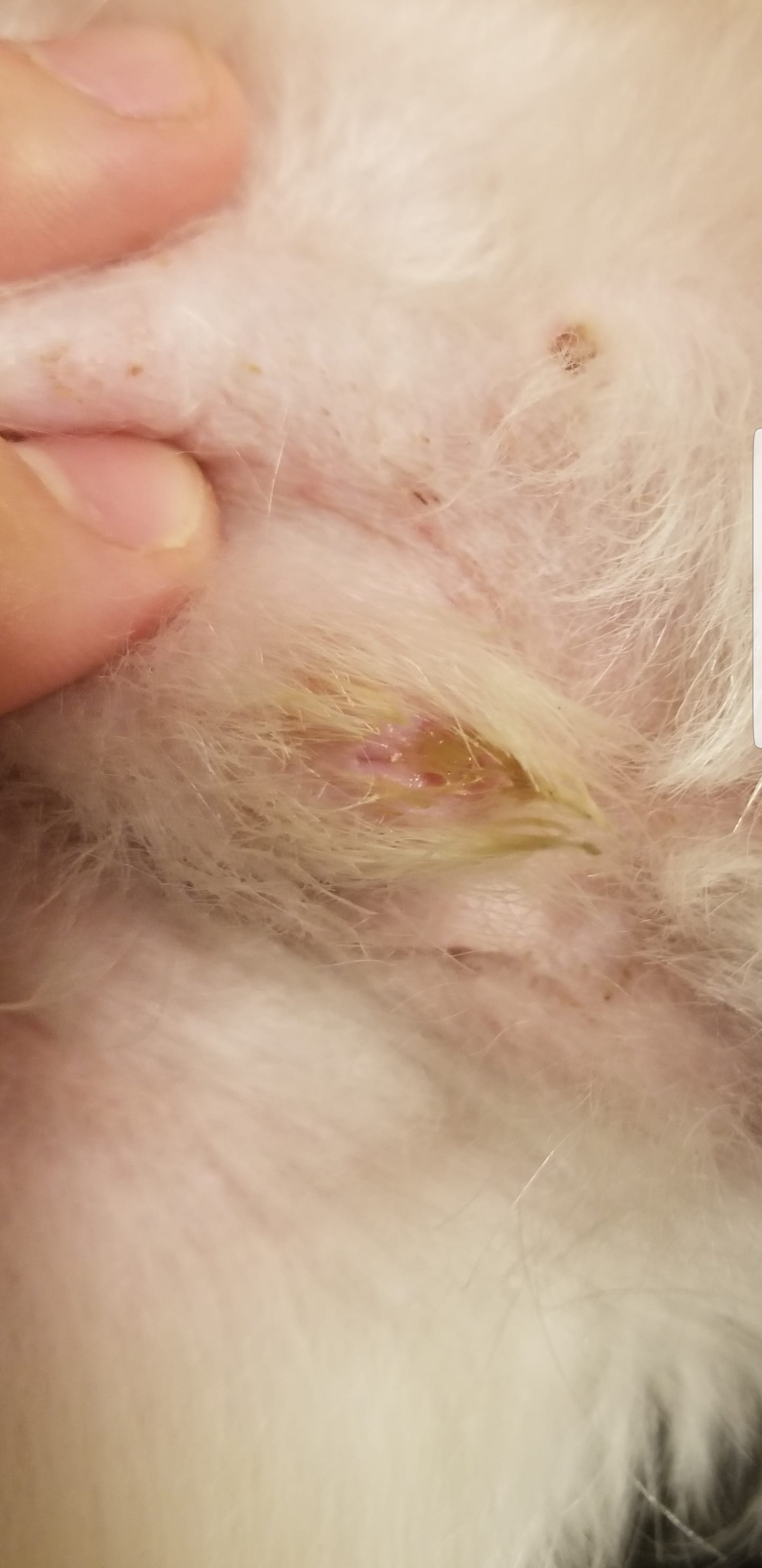 Question details sensitive content