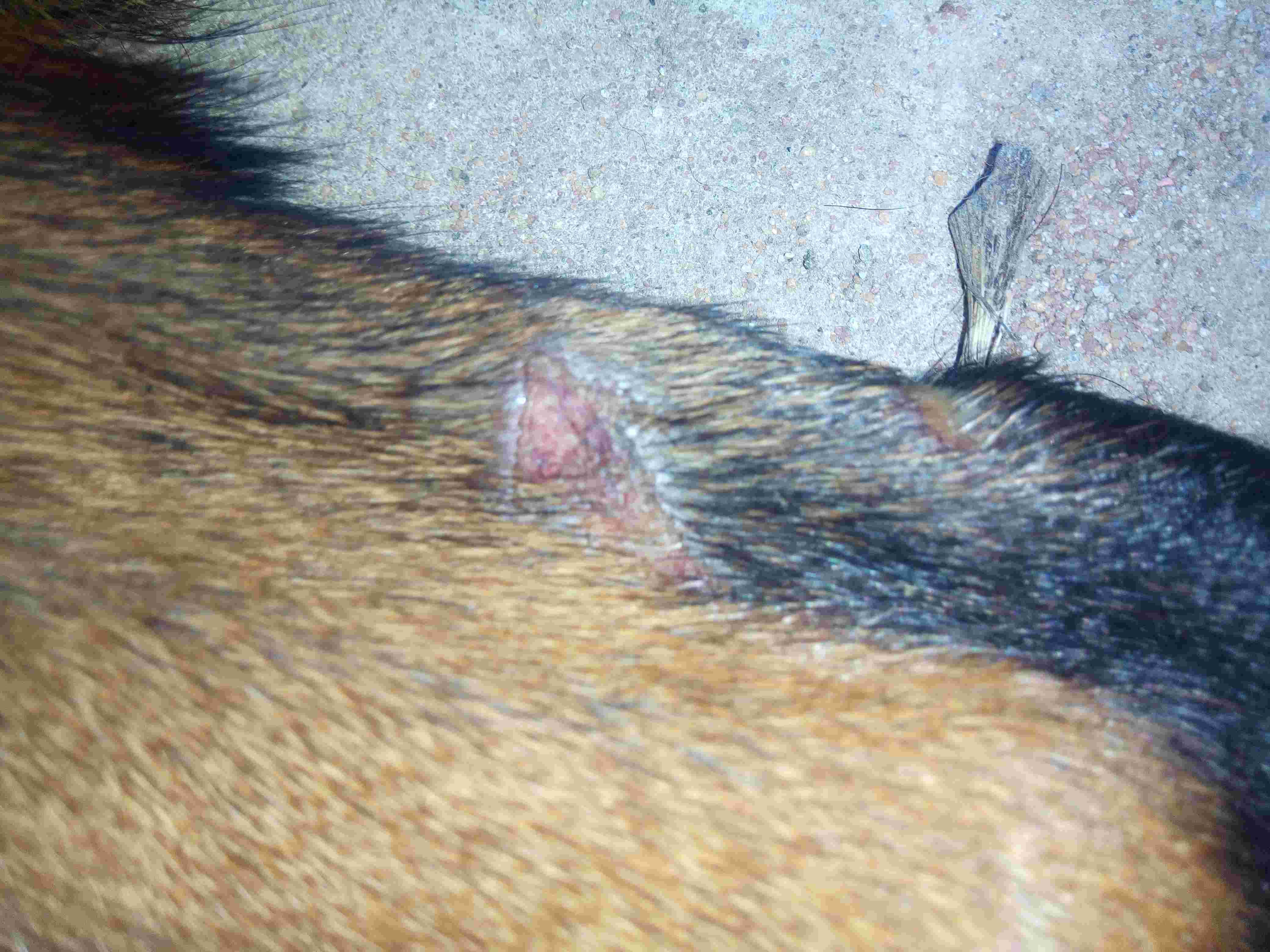 Question details sensitive content