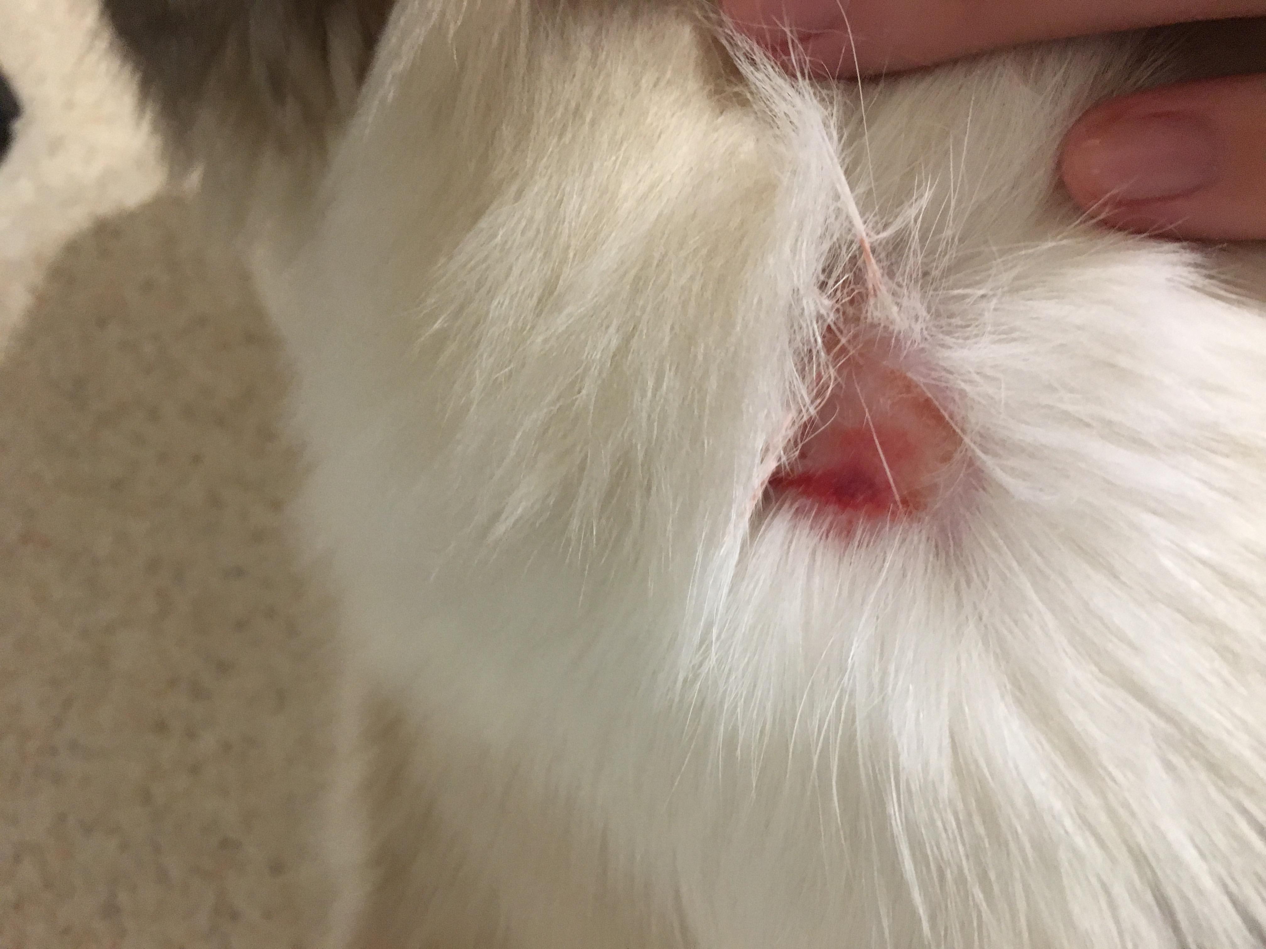 Question details sensitive content