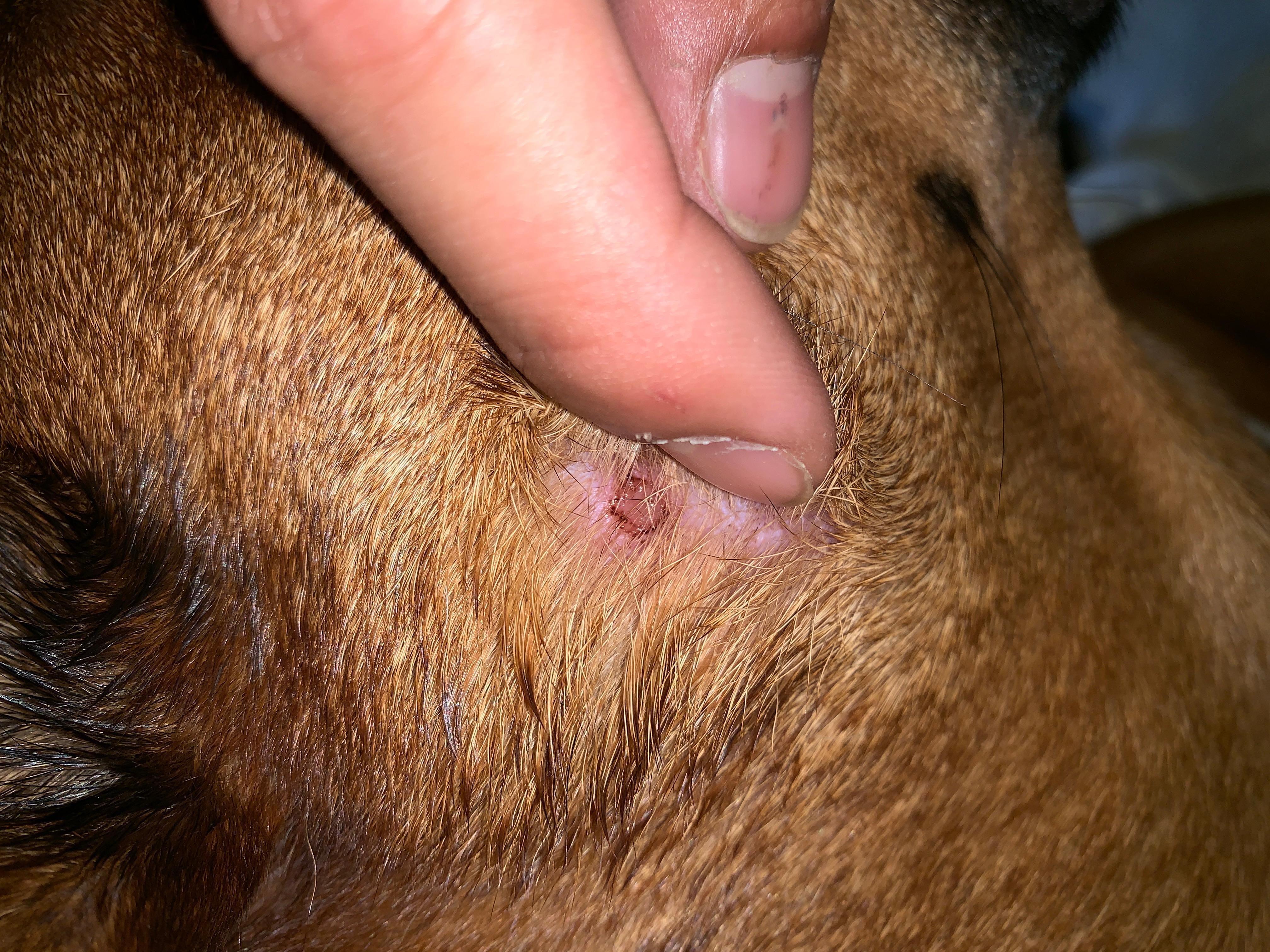 Question details sensitive content