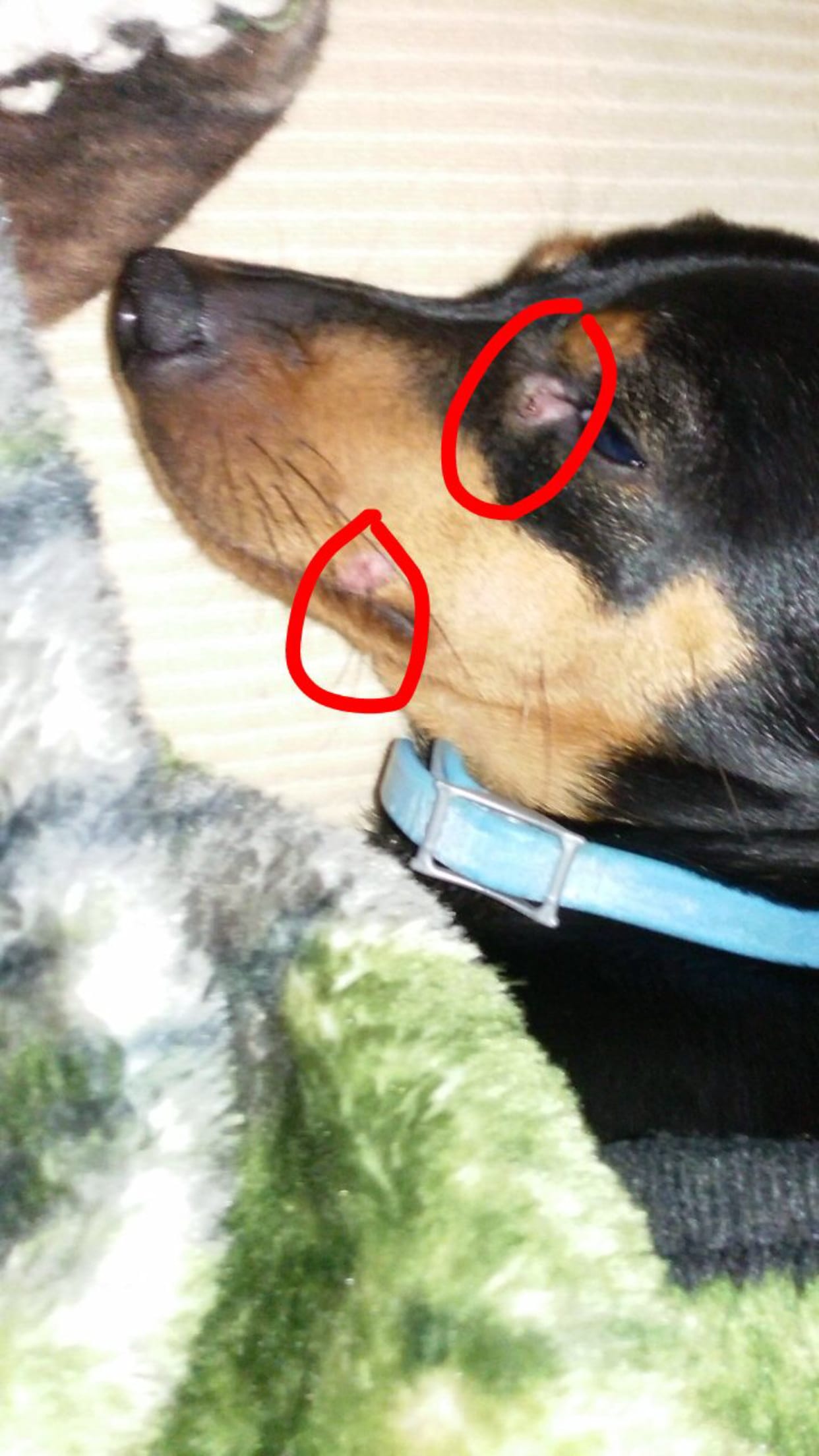 Question details sensitive content