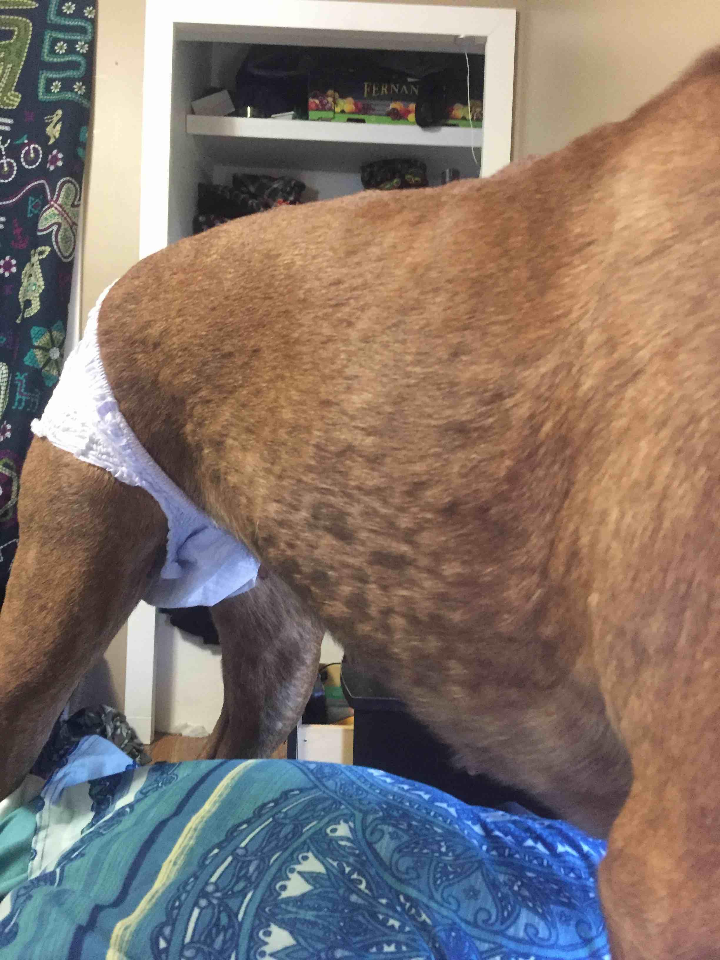 Question details sensitive content