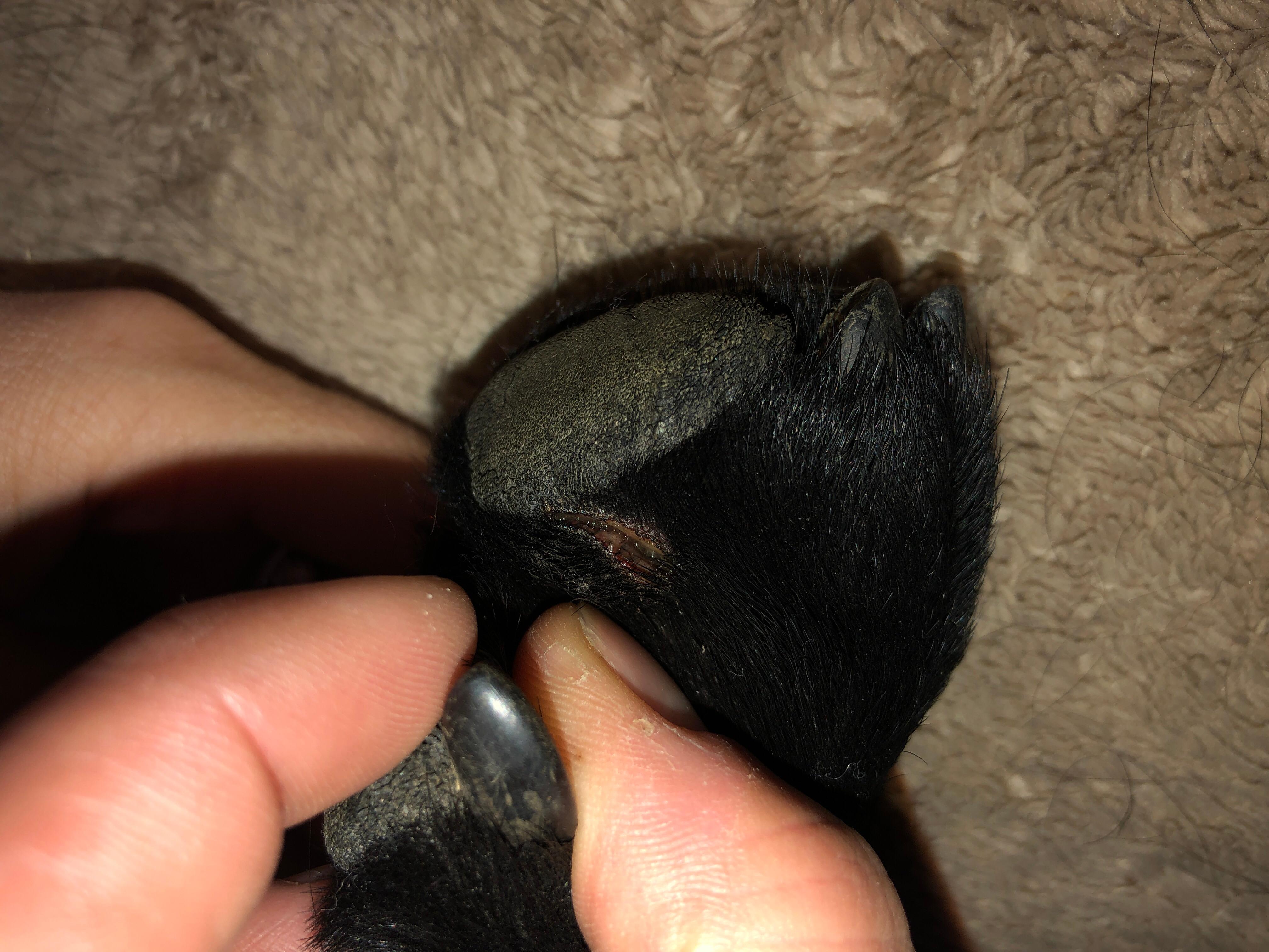 Question details sensitive content