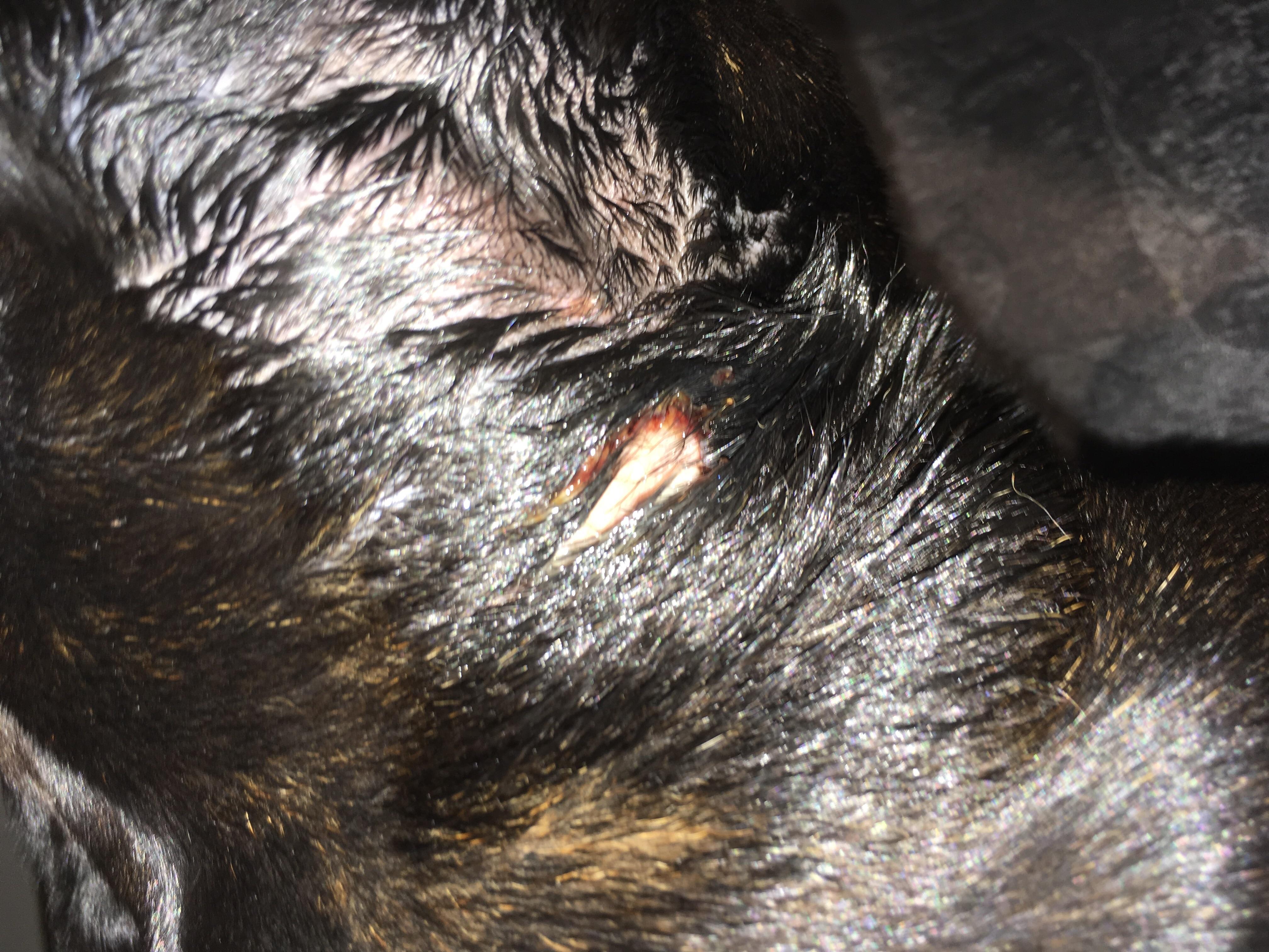 Question details sensitive content