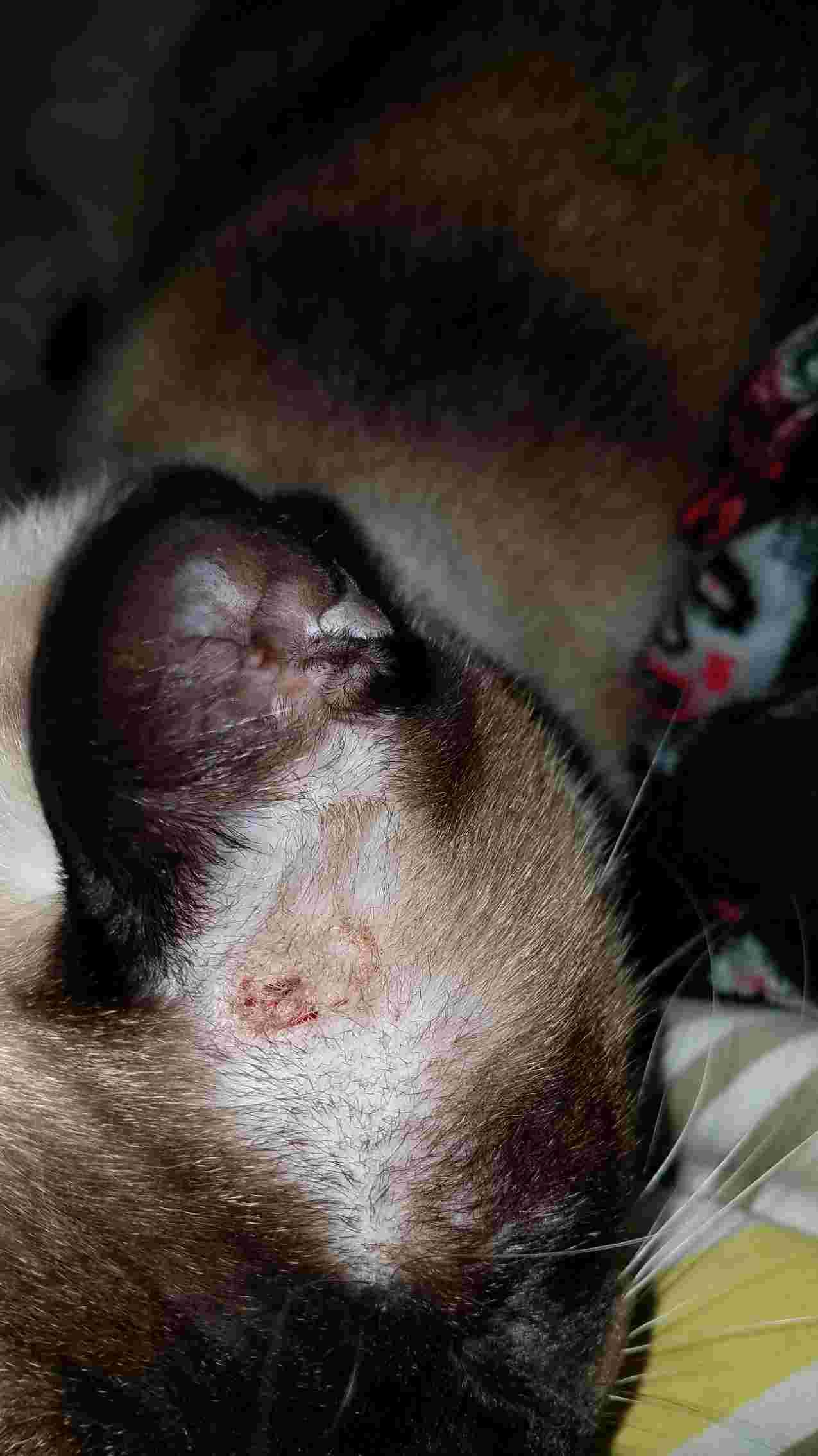 Question details sensitive content