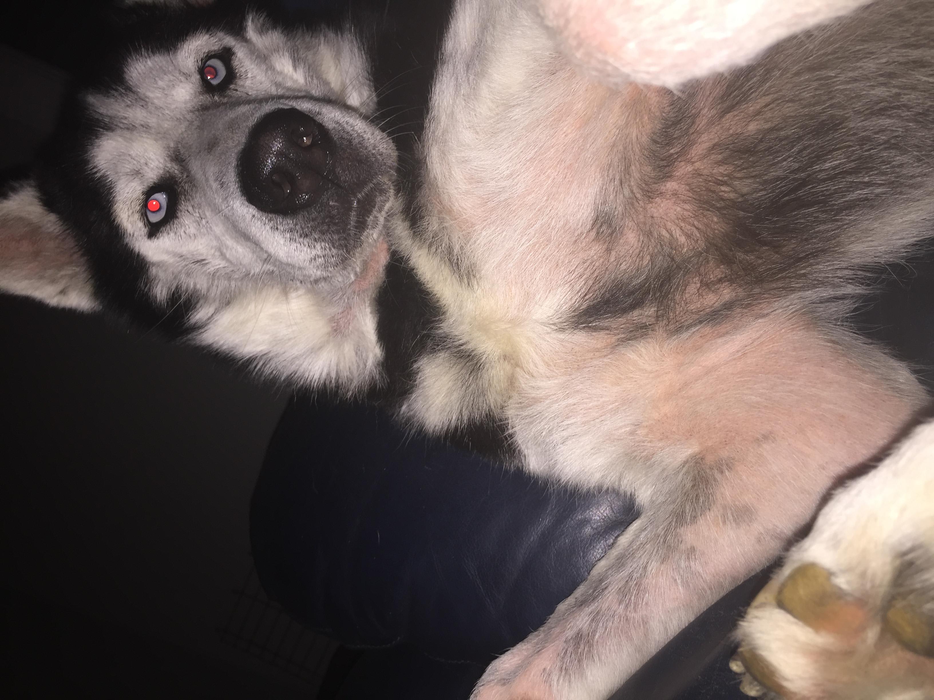 Question details sensitive content