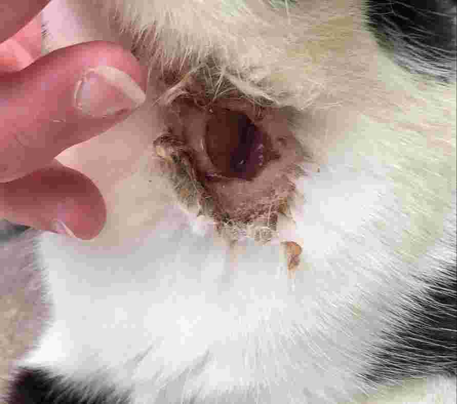 Question details sensitive content