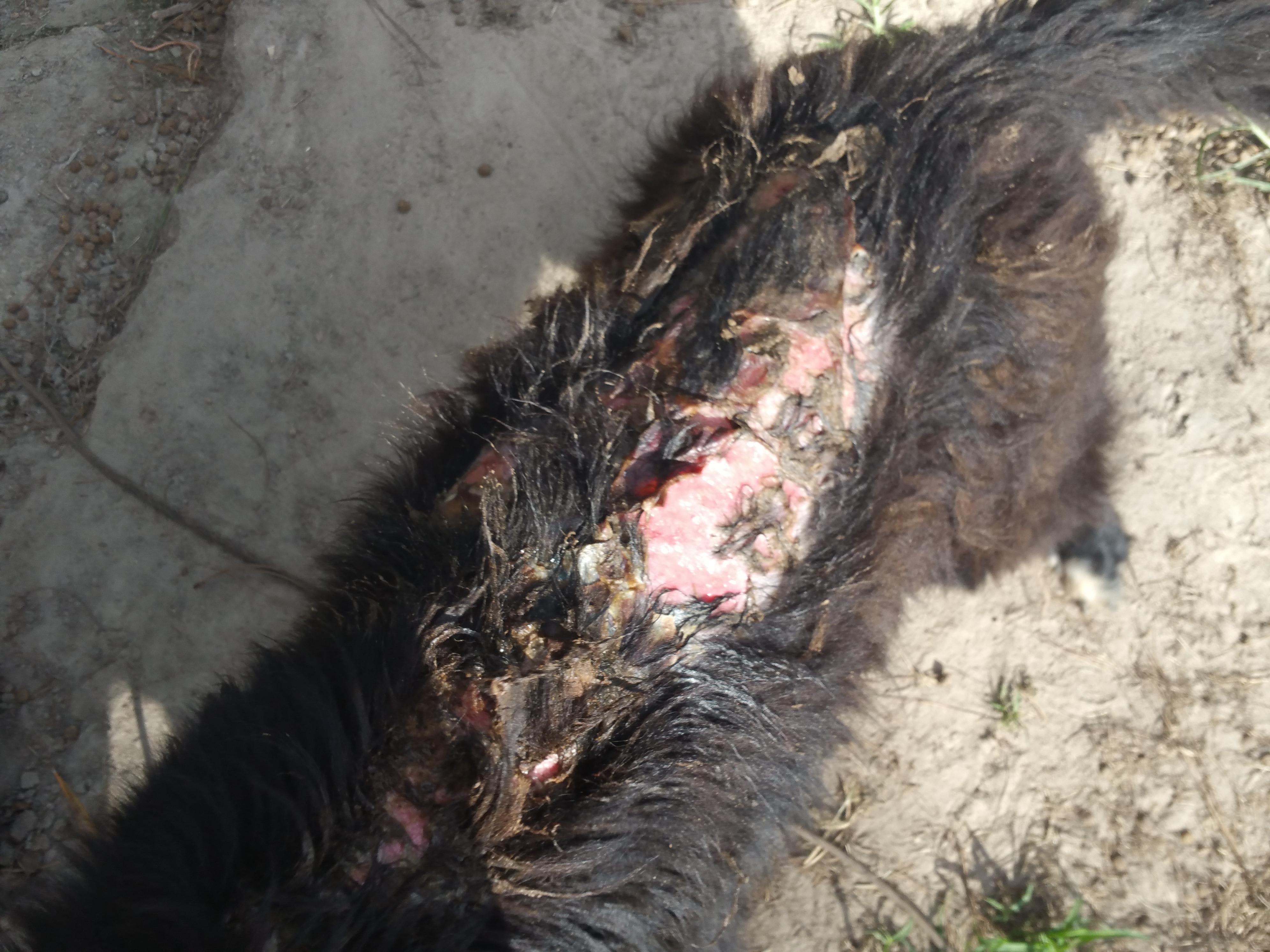 Question details sensitive content