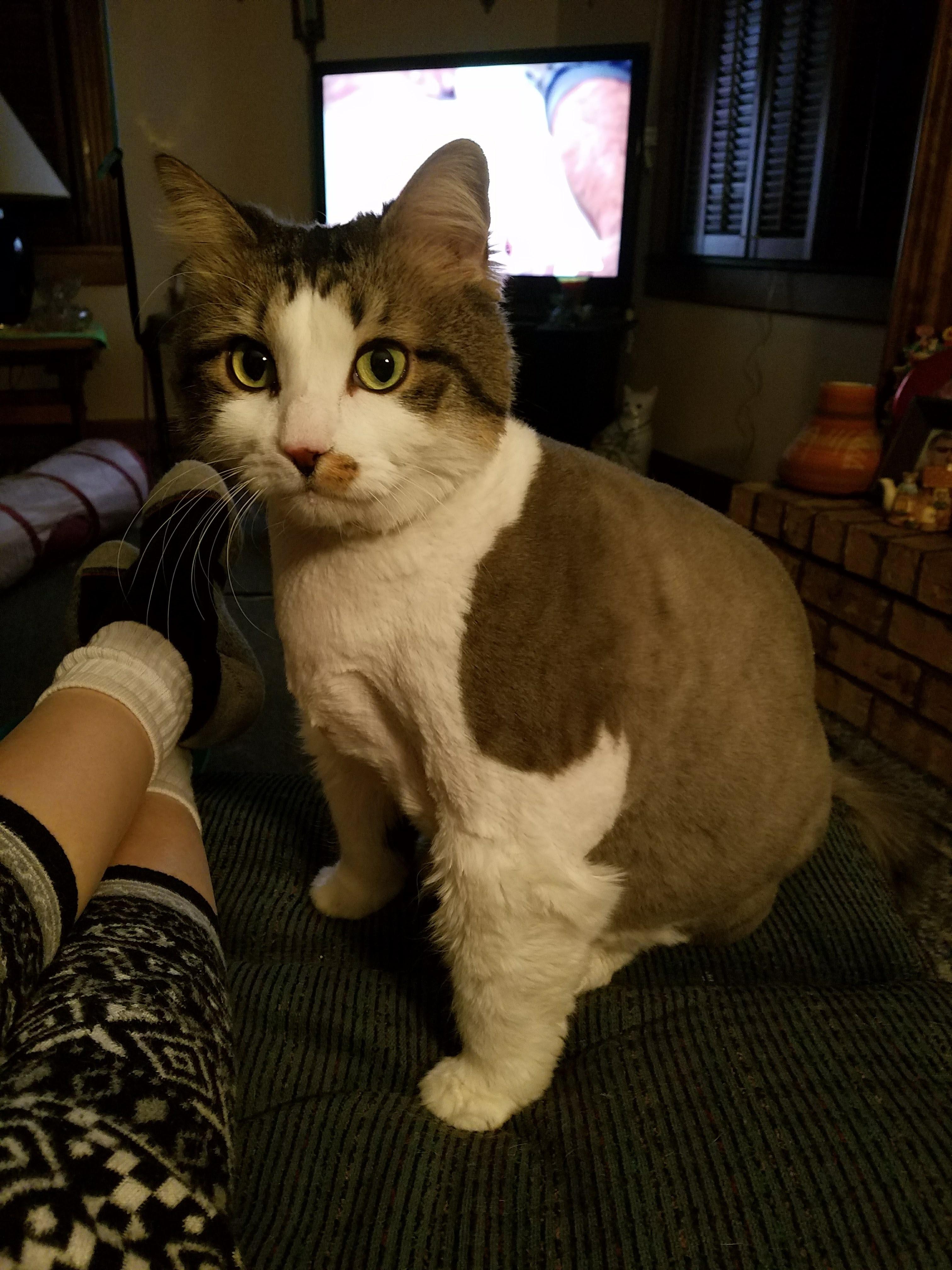 Question details sensitive content