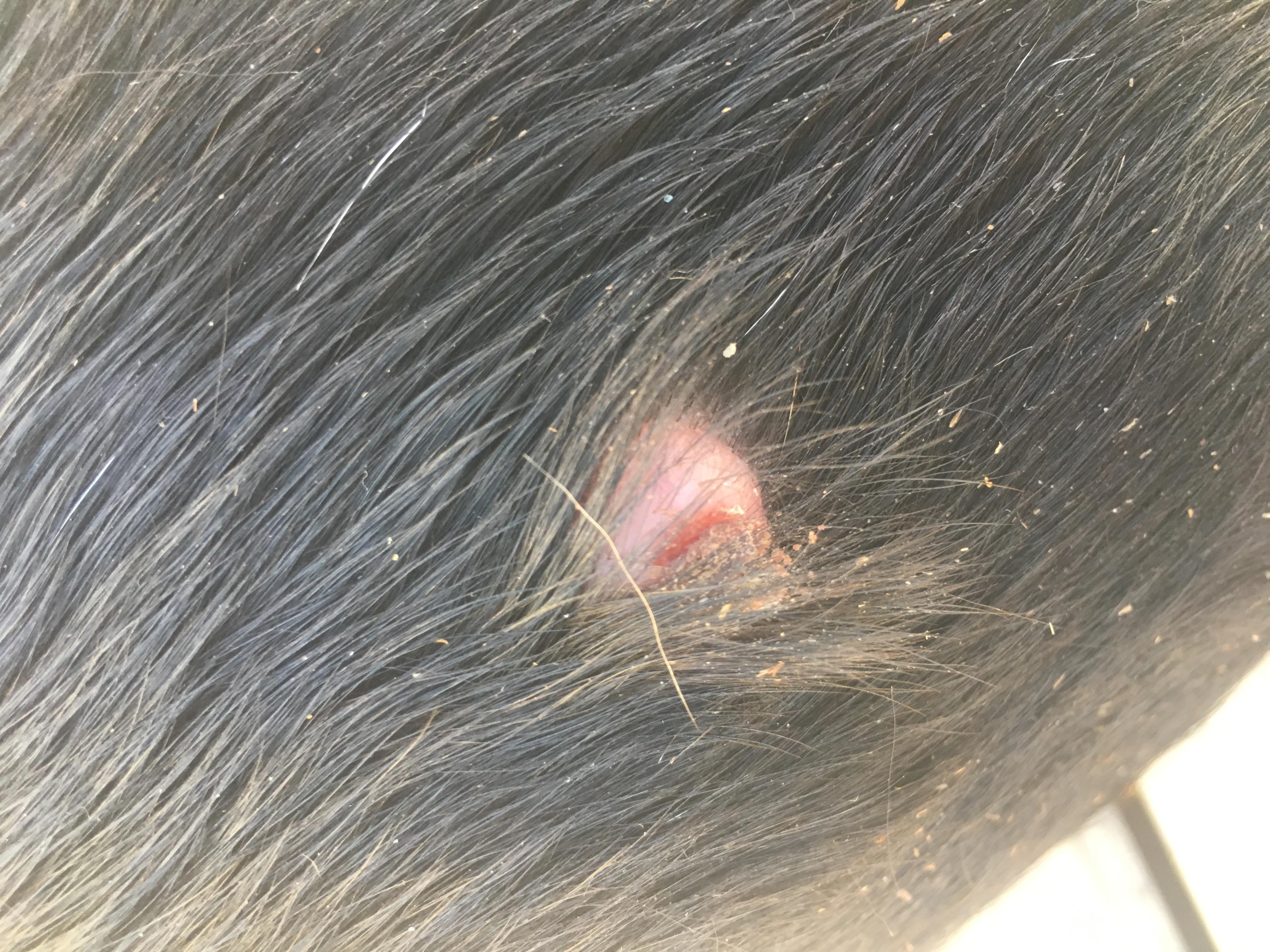 Question details sensitive content