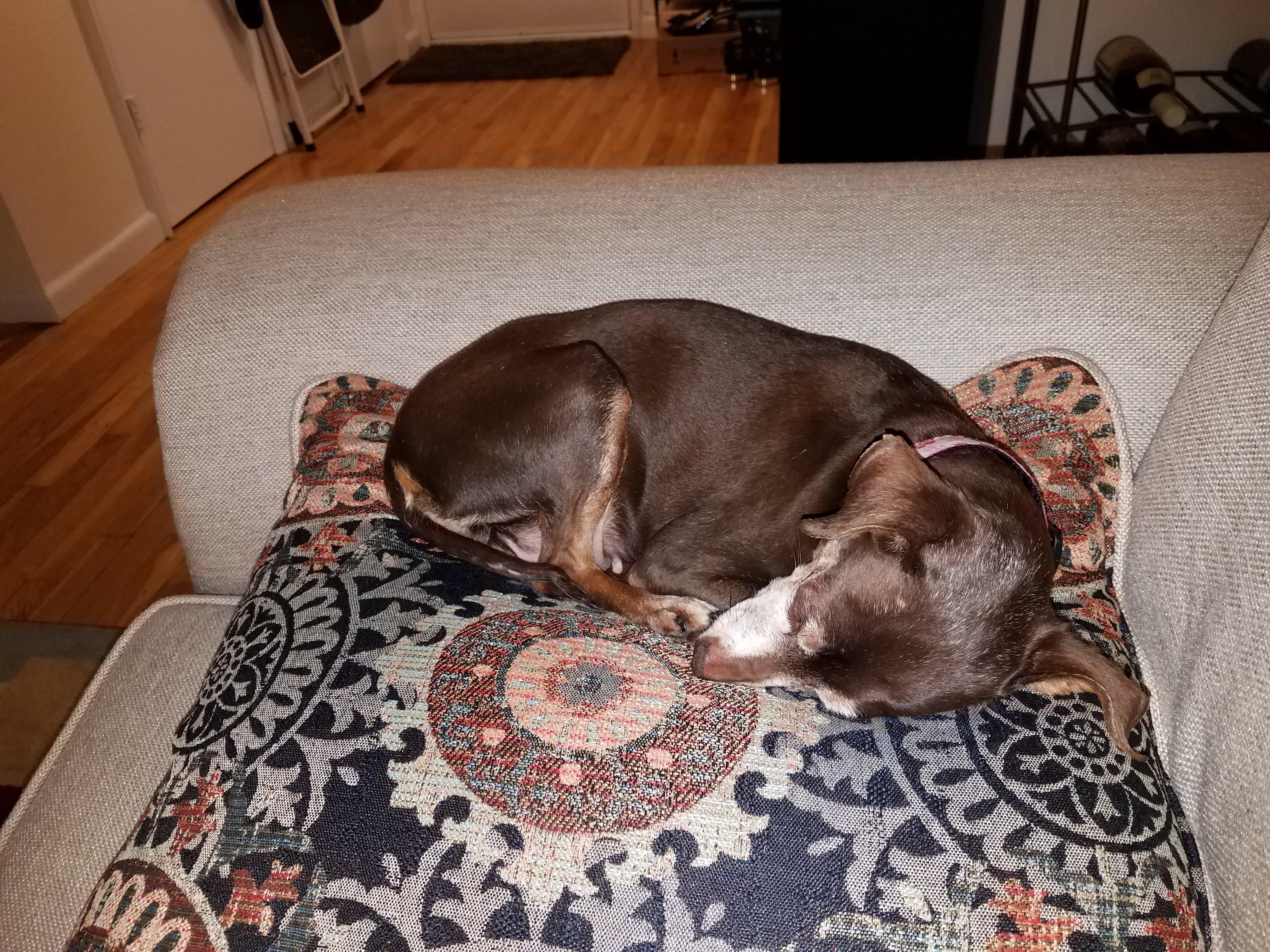 Question details sensitive content