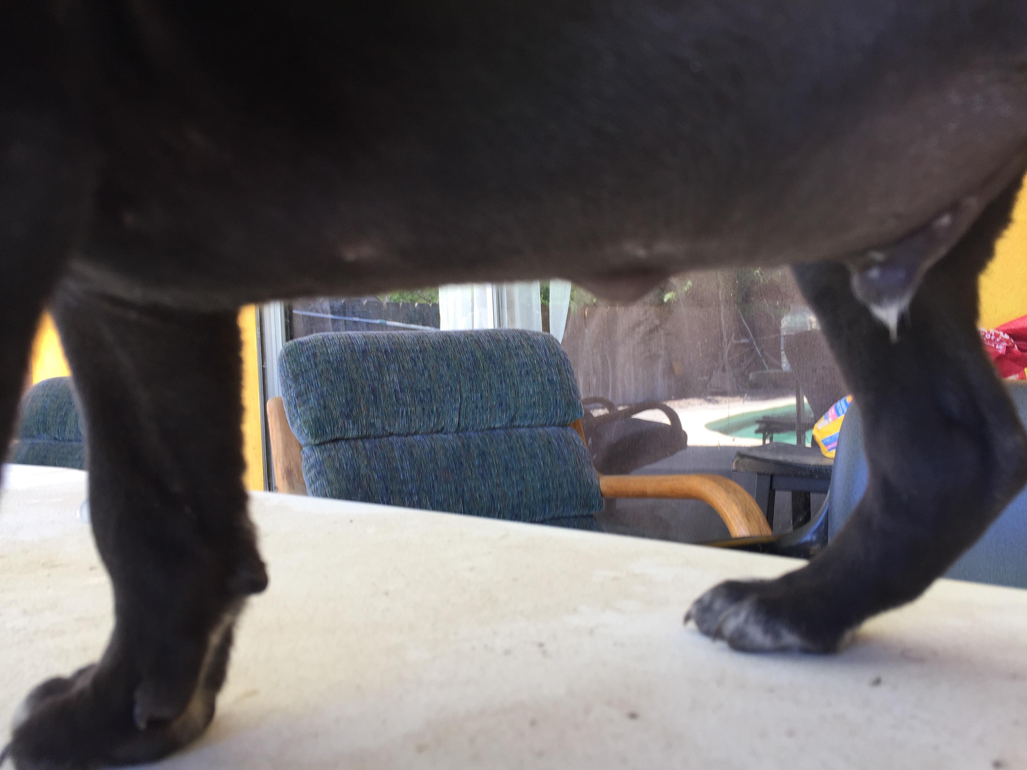 Question details sensitive content