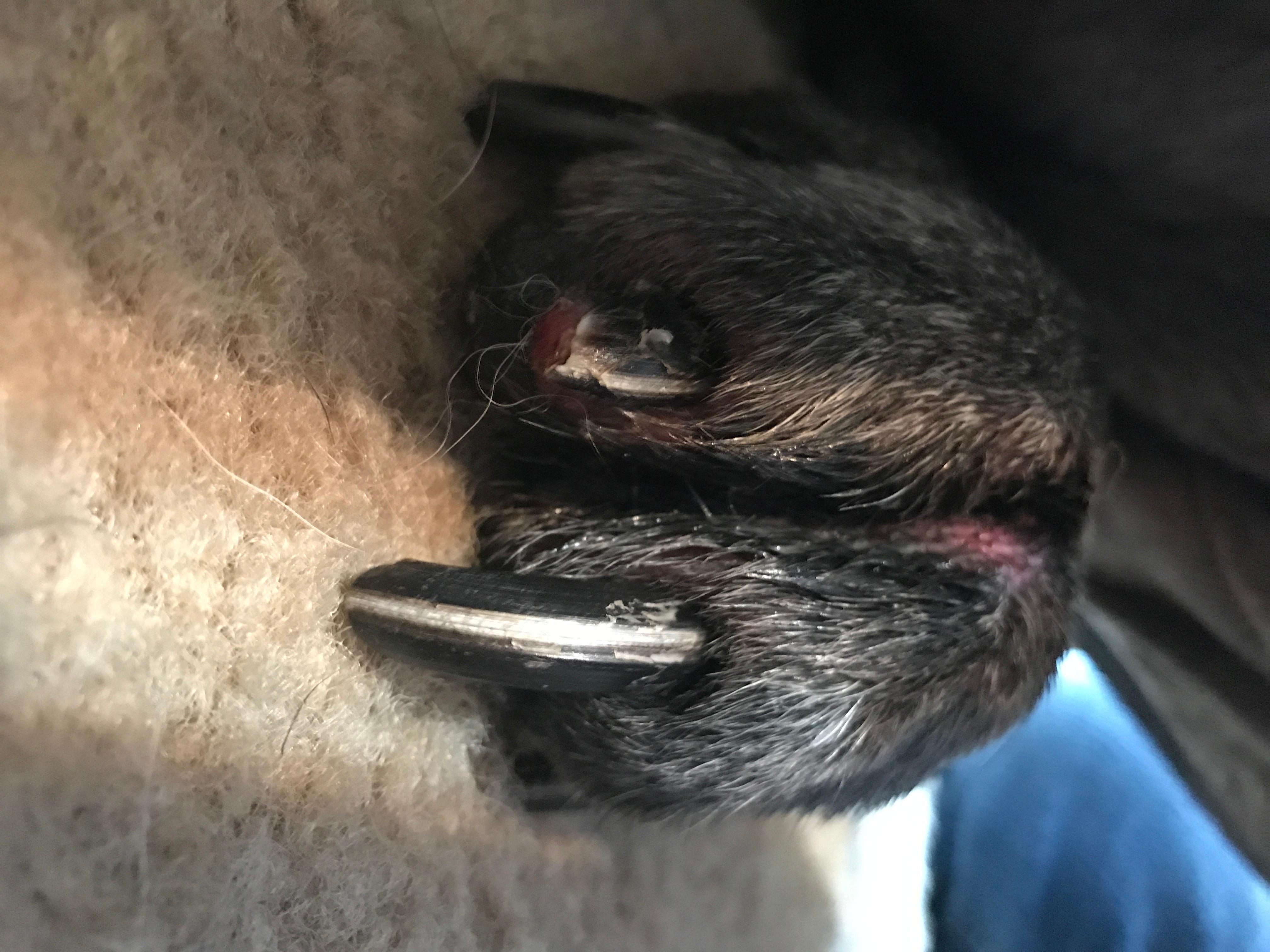 Question details sensitive content