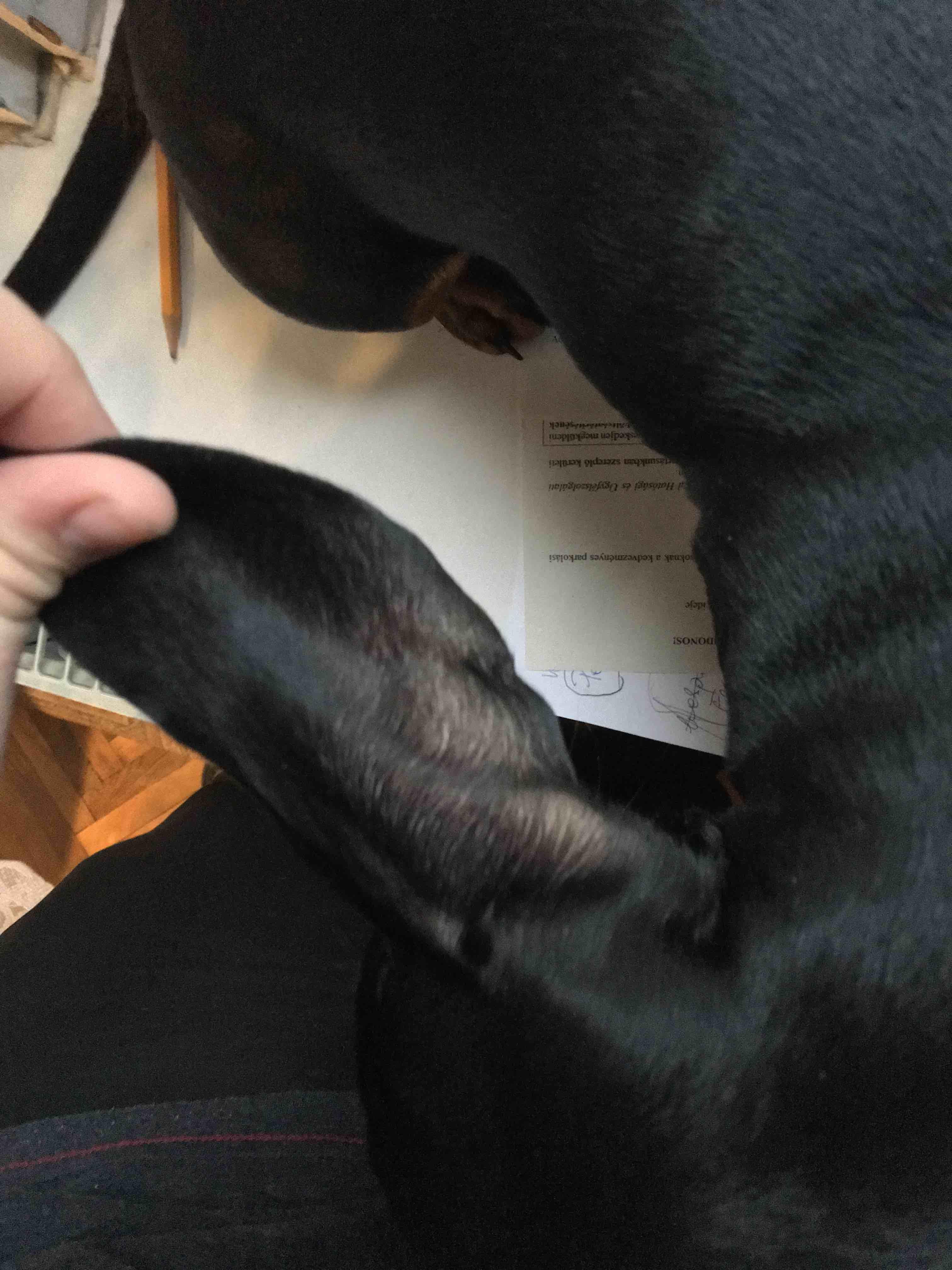 Question details sensitive content