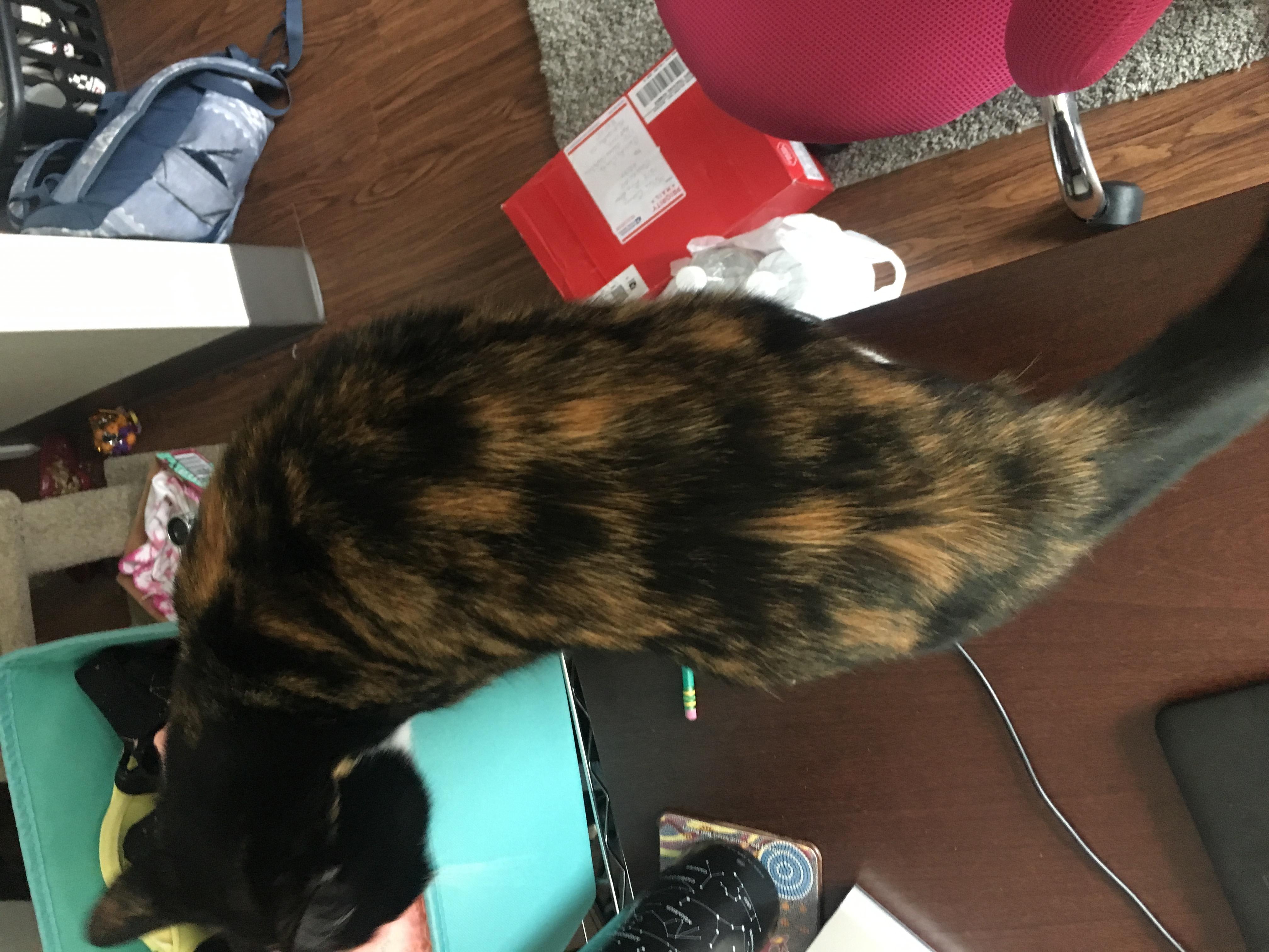 Question details sensitive content