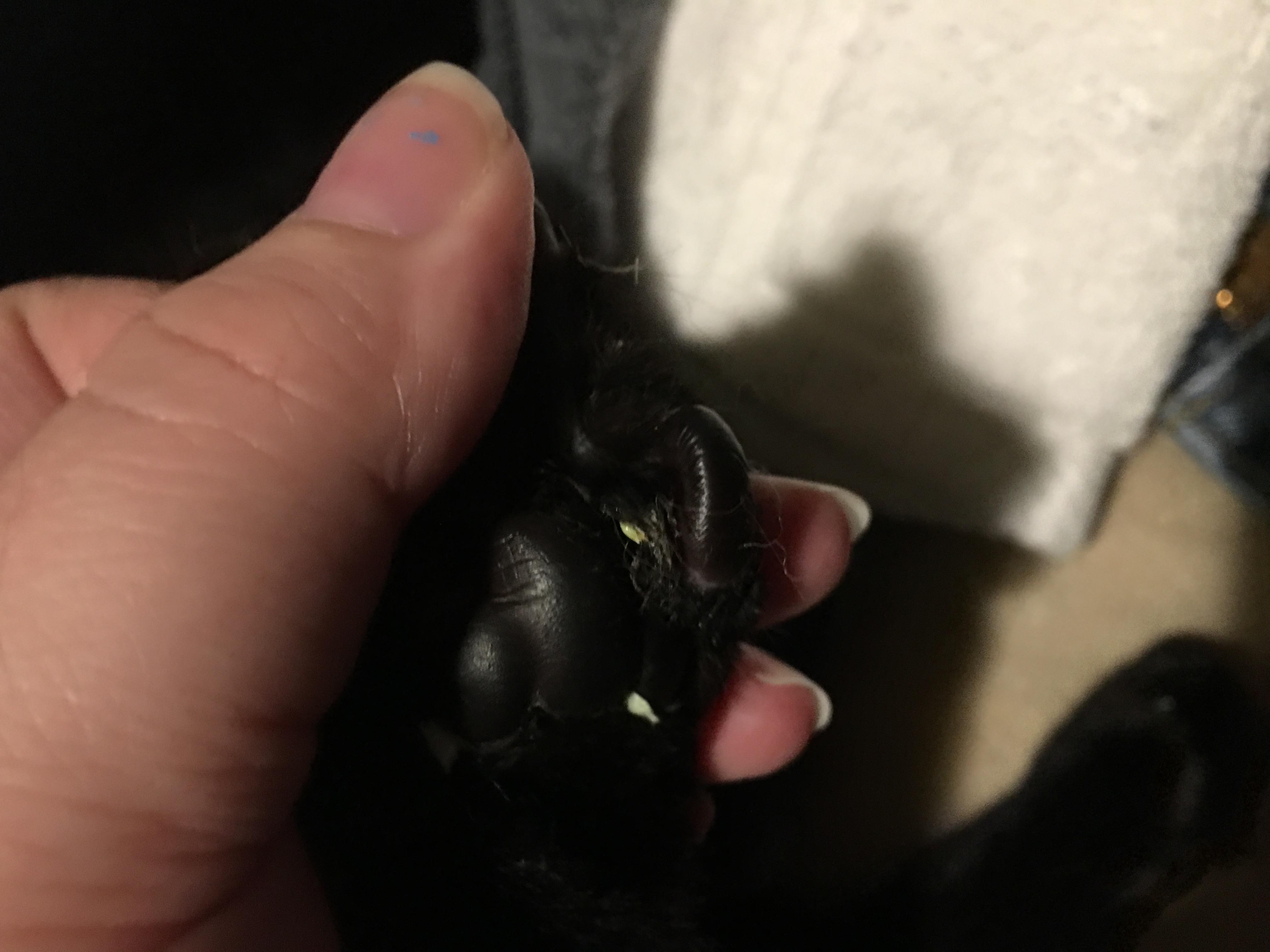 Question details sensitive content