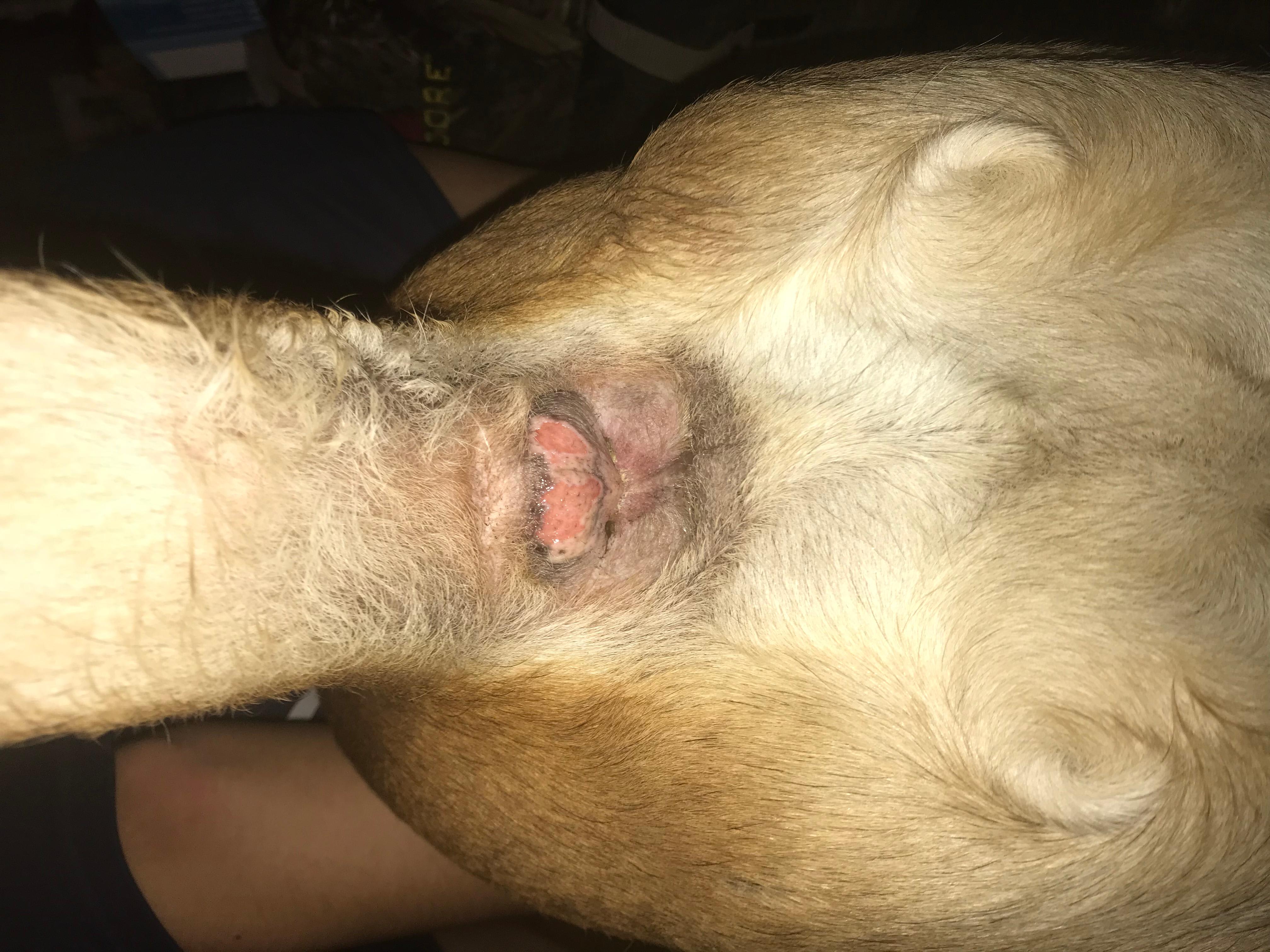 Question details sensitive content