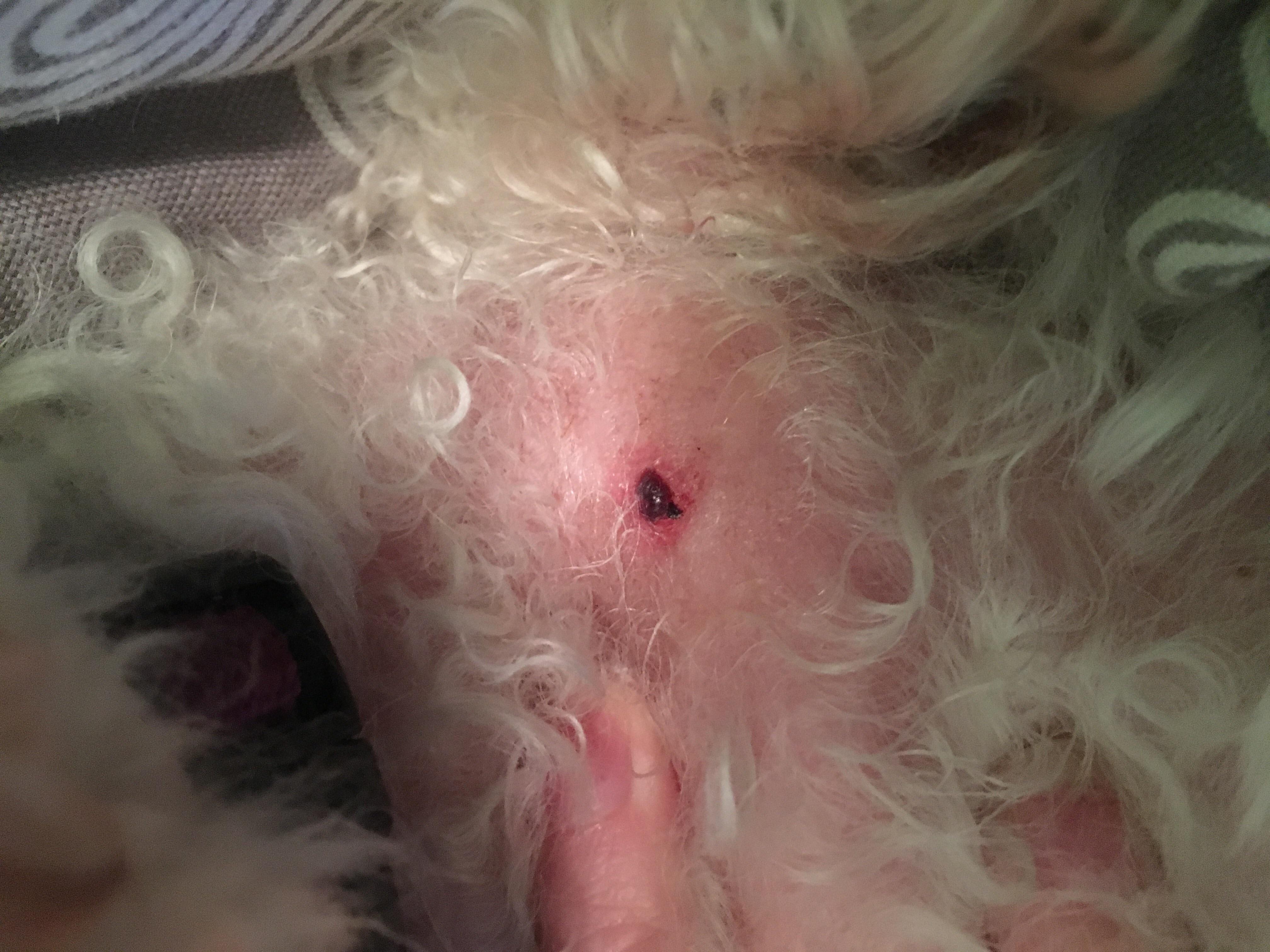 Question details sensitive content