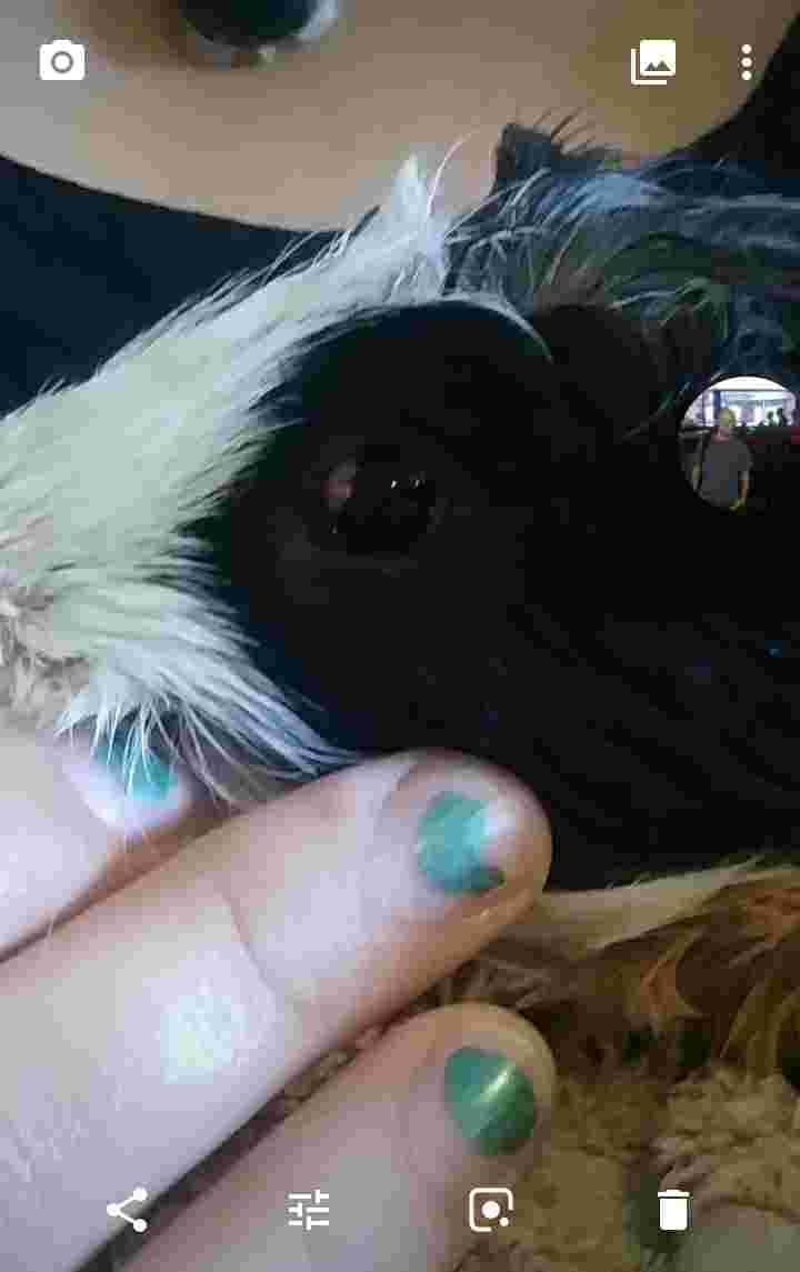 Question details sensitive content