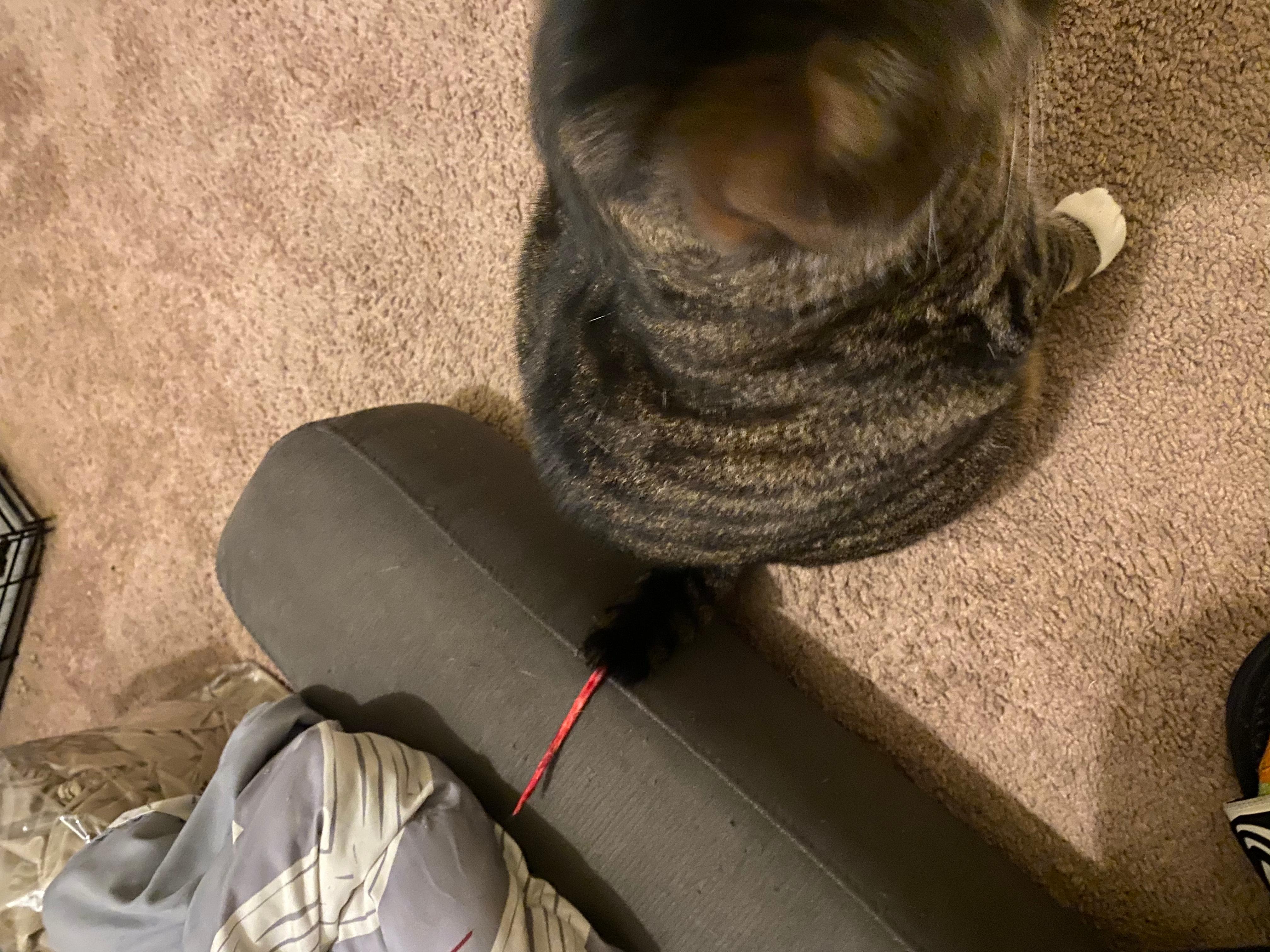 Question details sensitive content