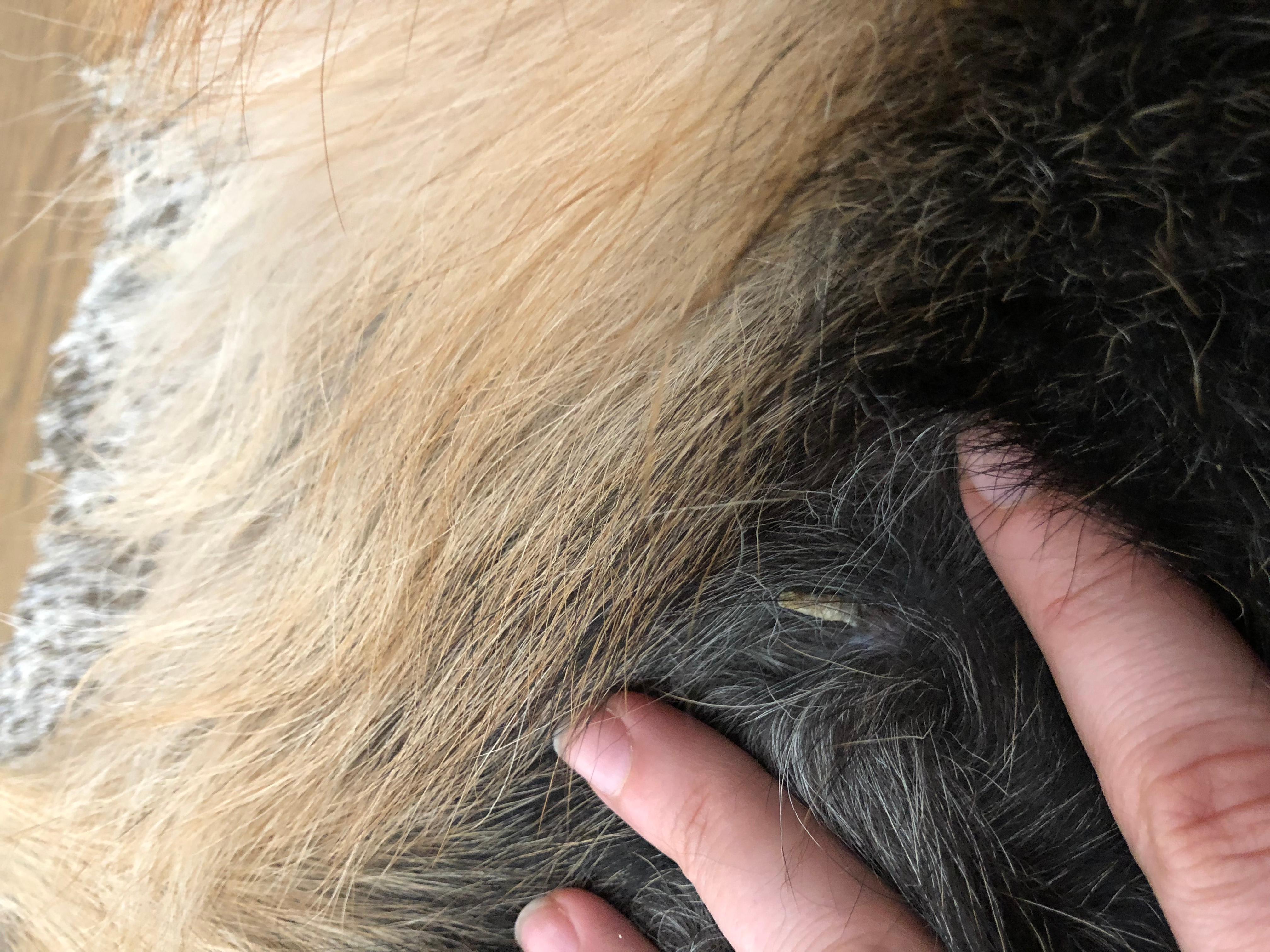 Question details sensitive content