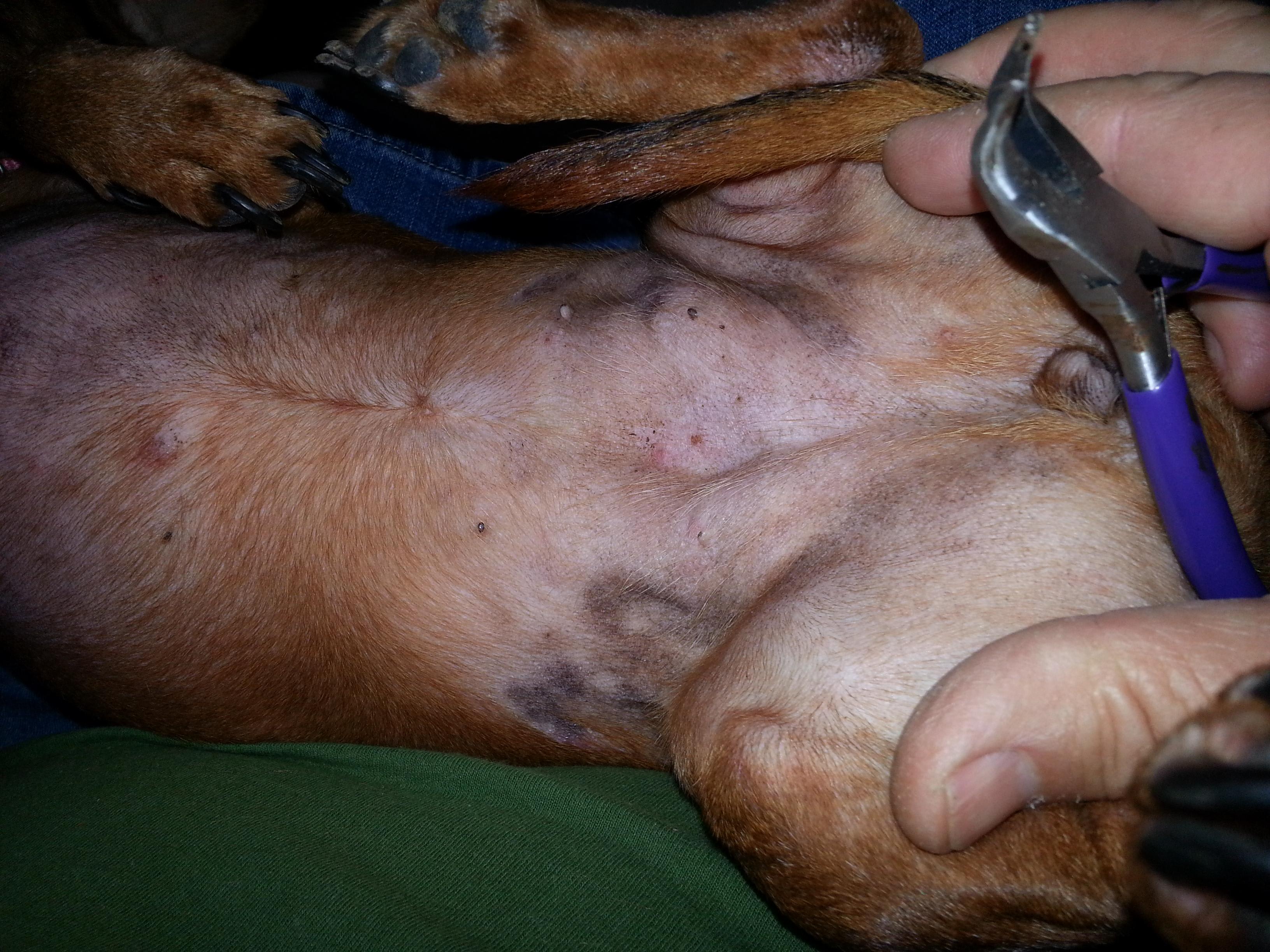 Question details sensitive content