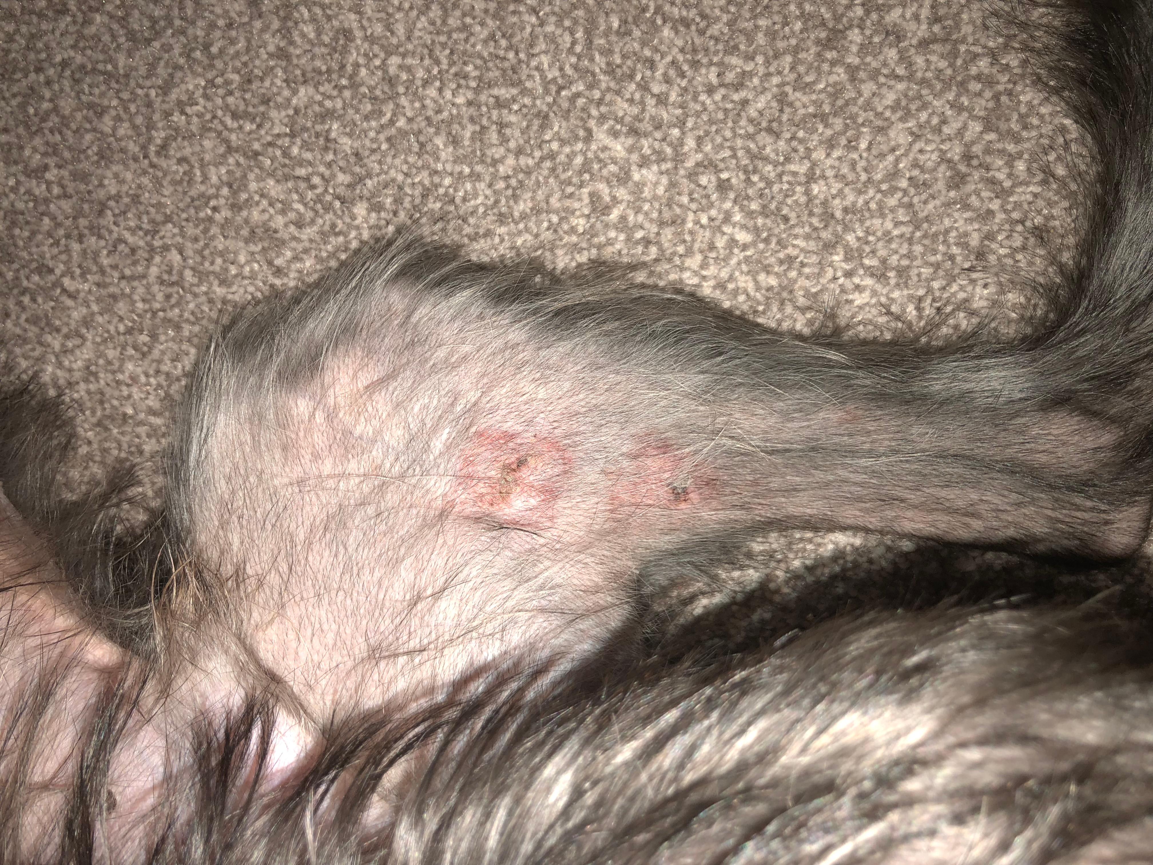 Question details sensitive content