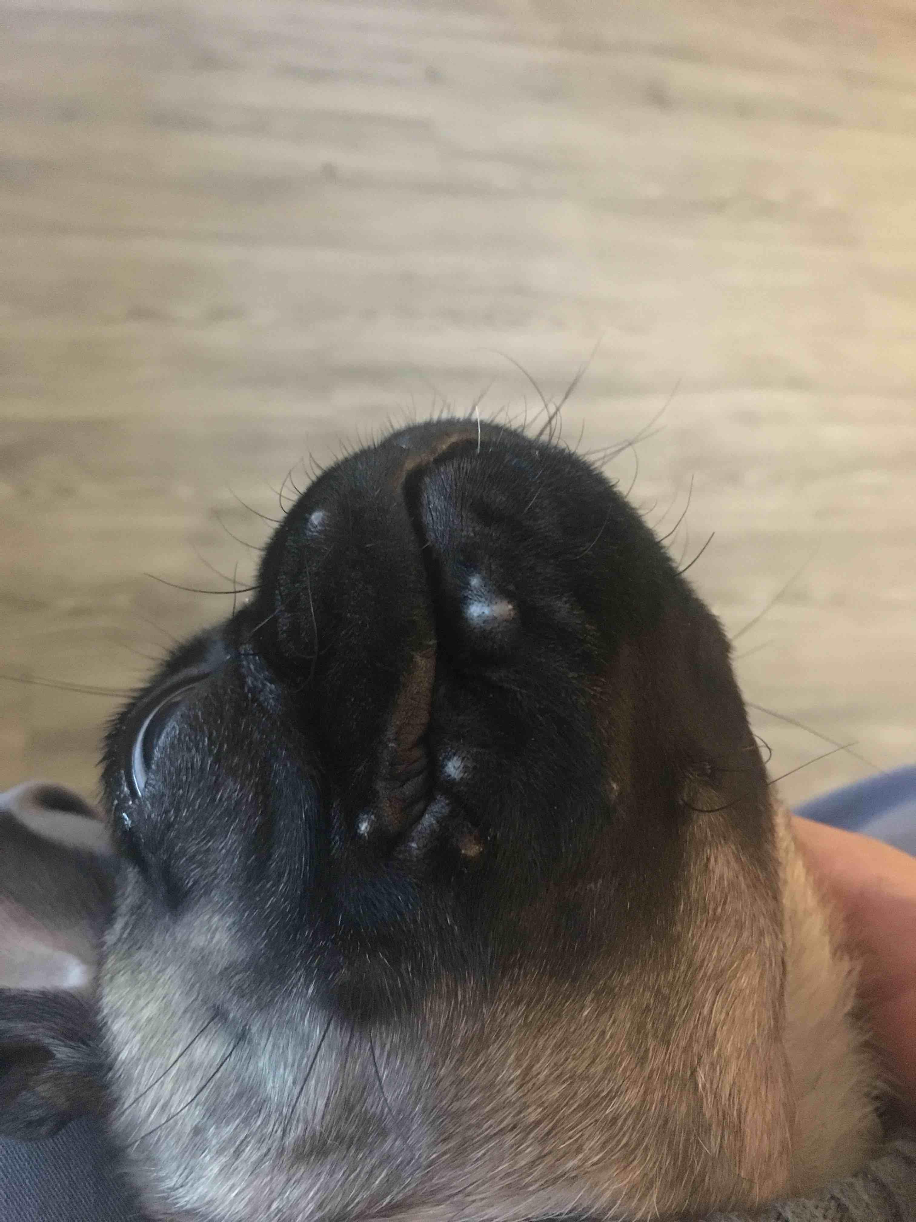 Question details sensitive content