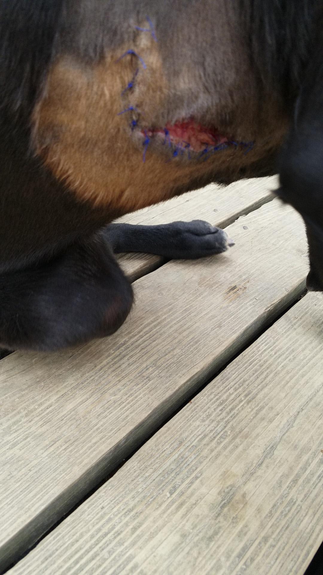 Question details sensitive content