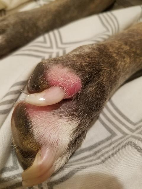 Question details sensitive content