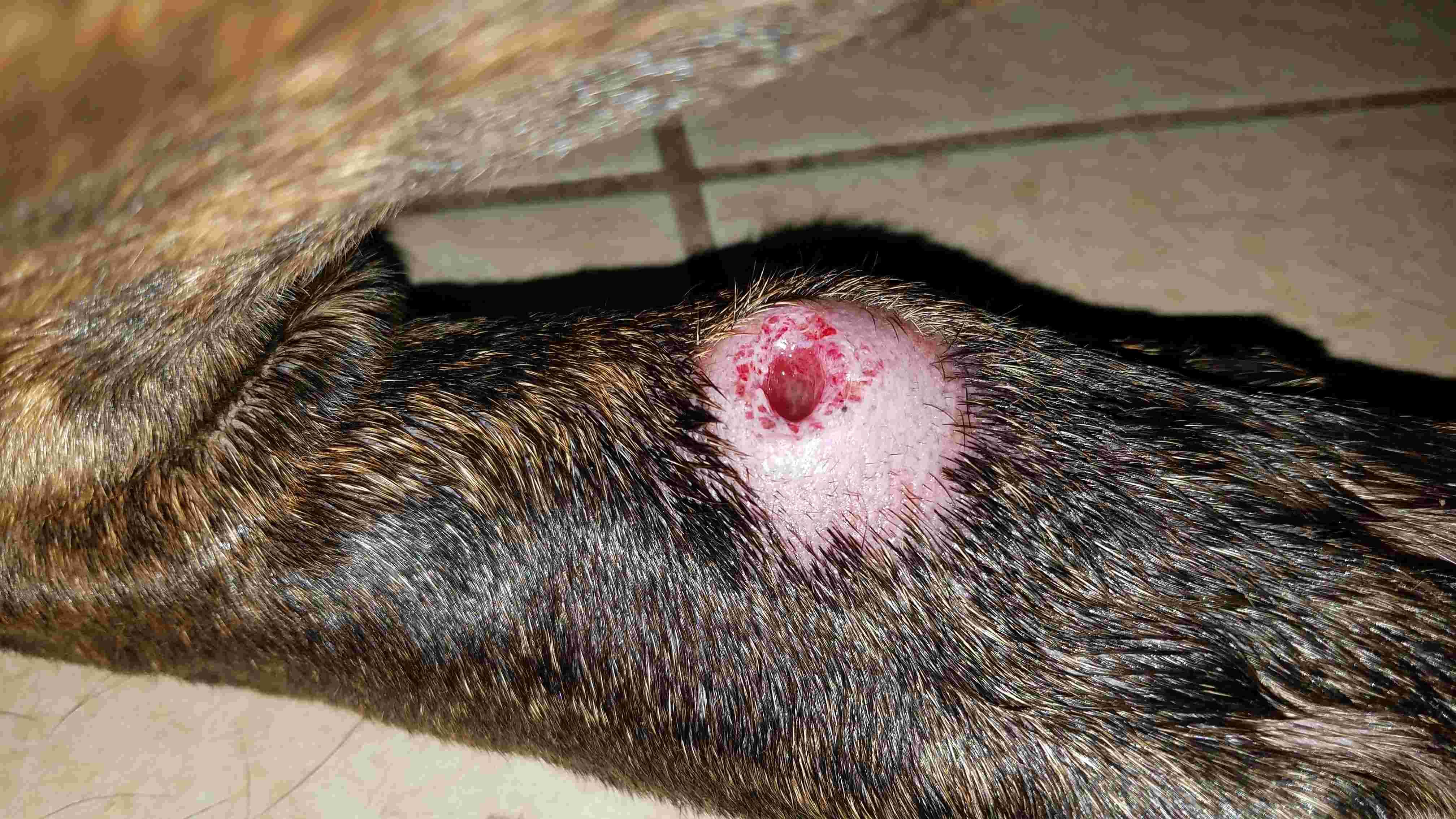 Question details sensitive content