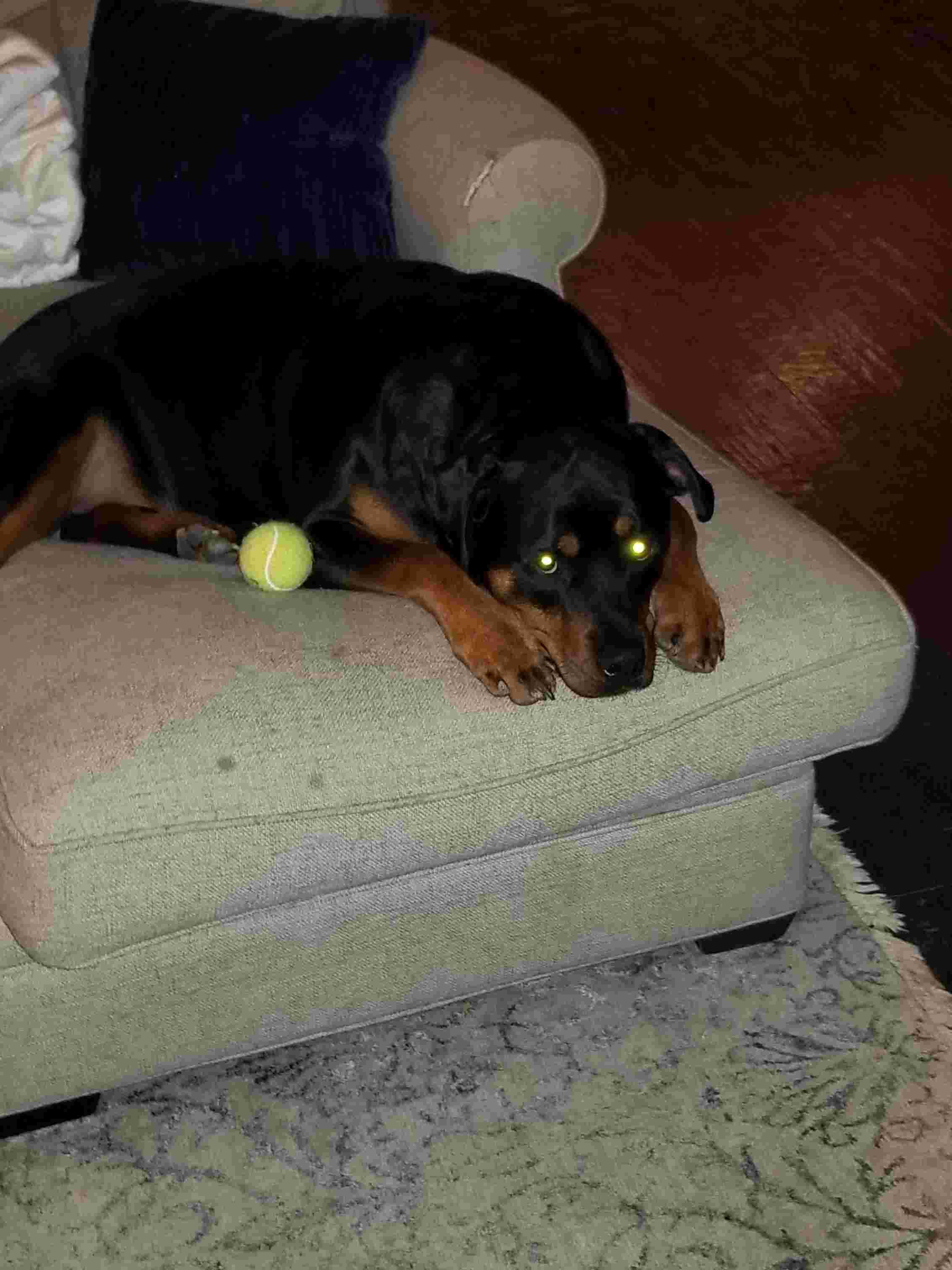 Question details sensitive content