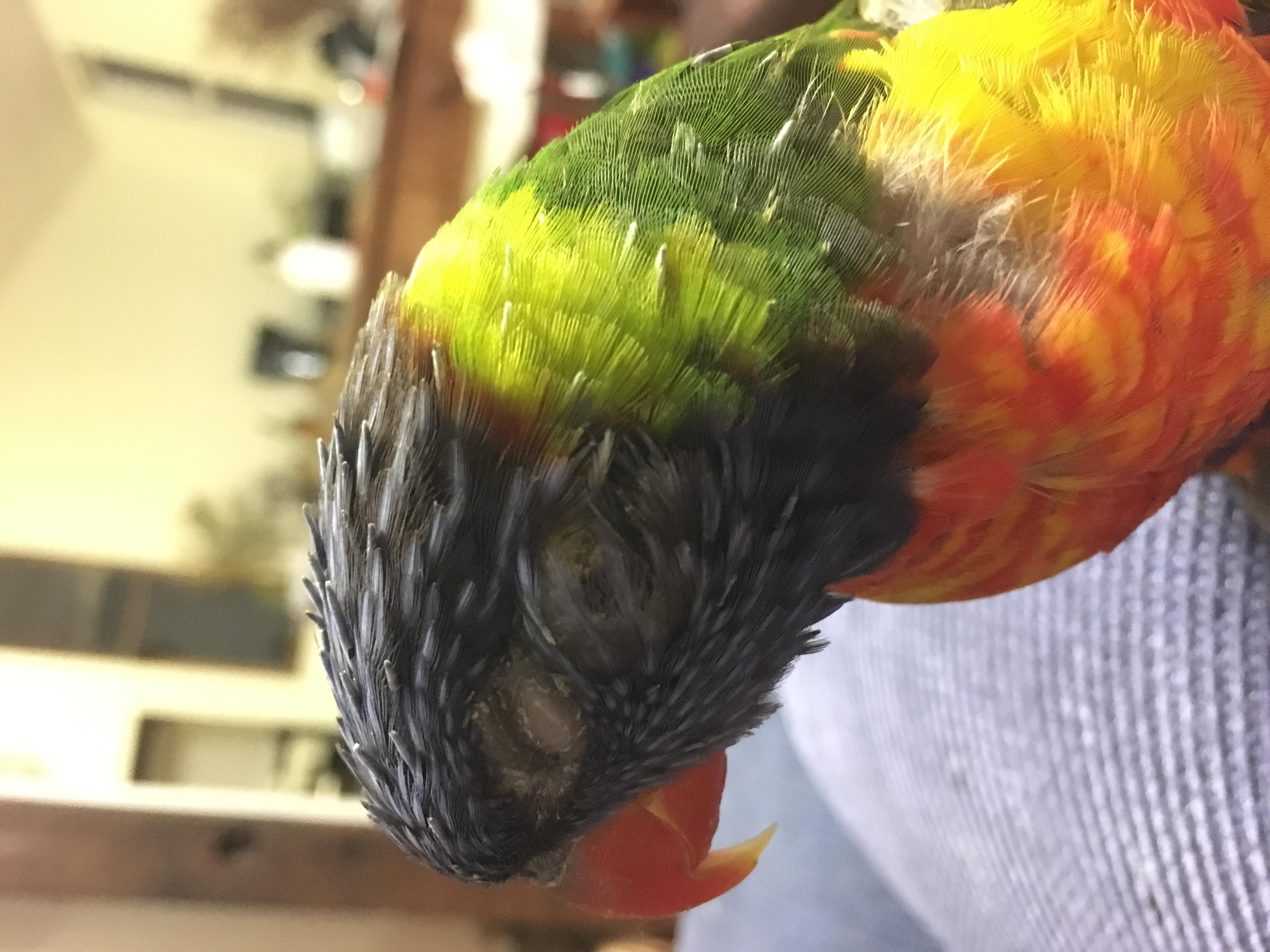 Question details sensitive content