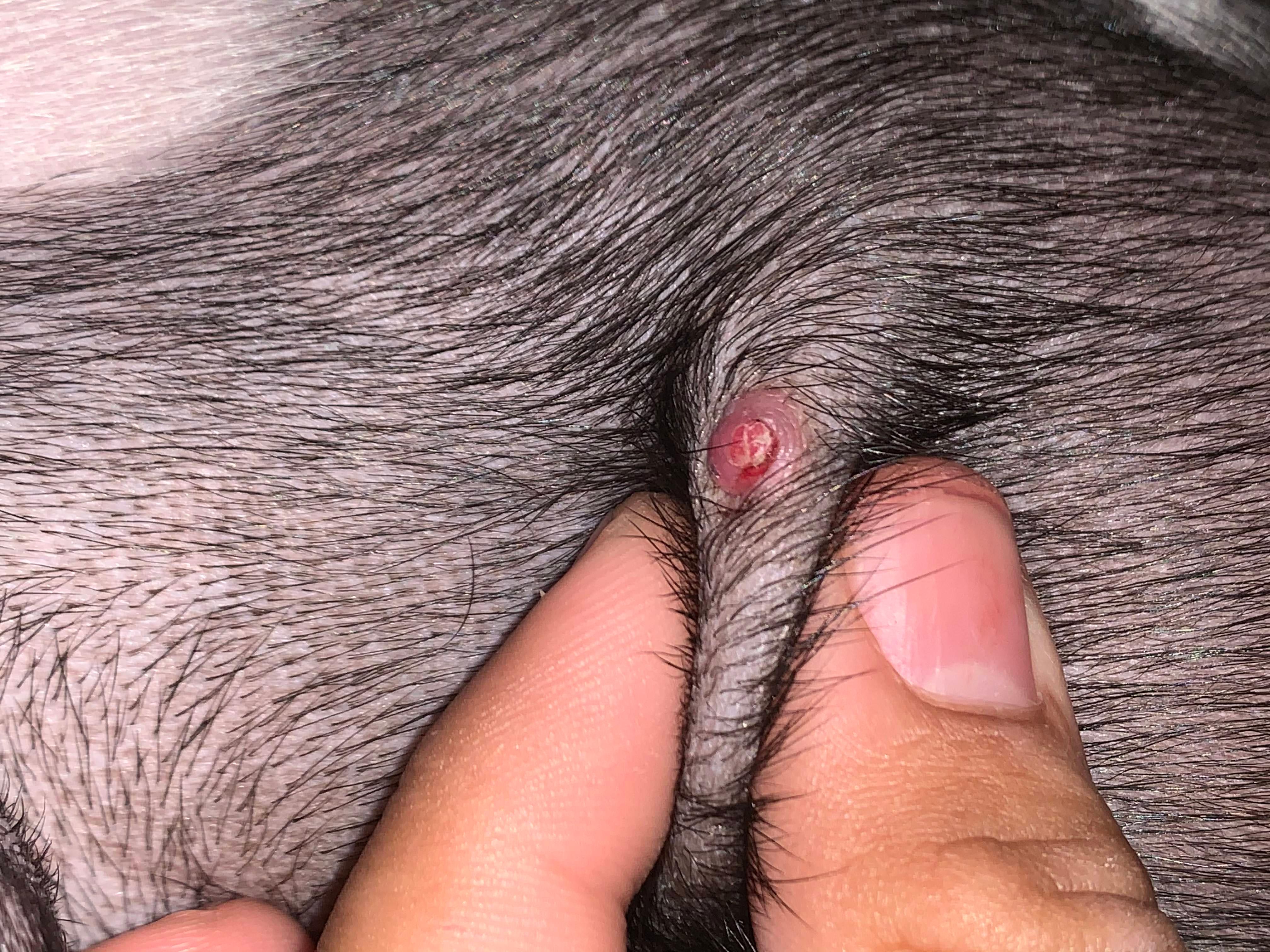 Question details sensitive content