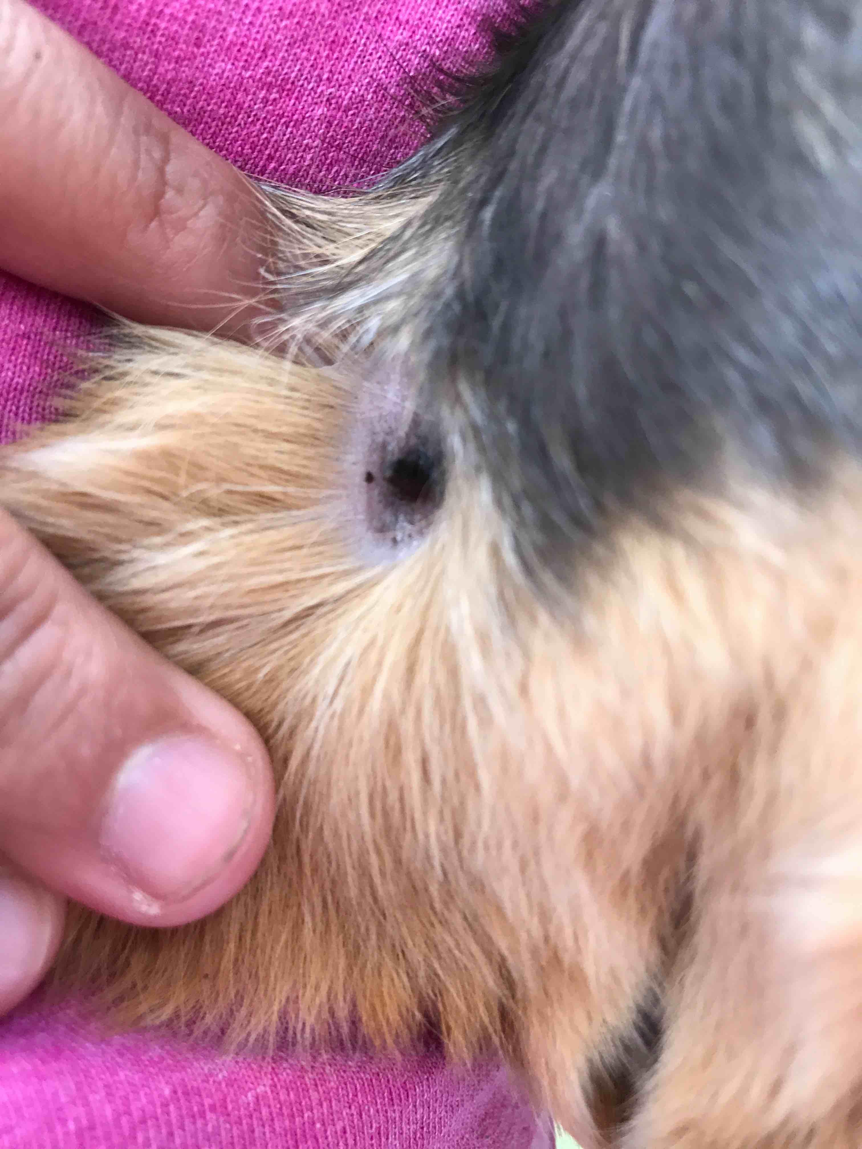 Question details sensitive content