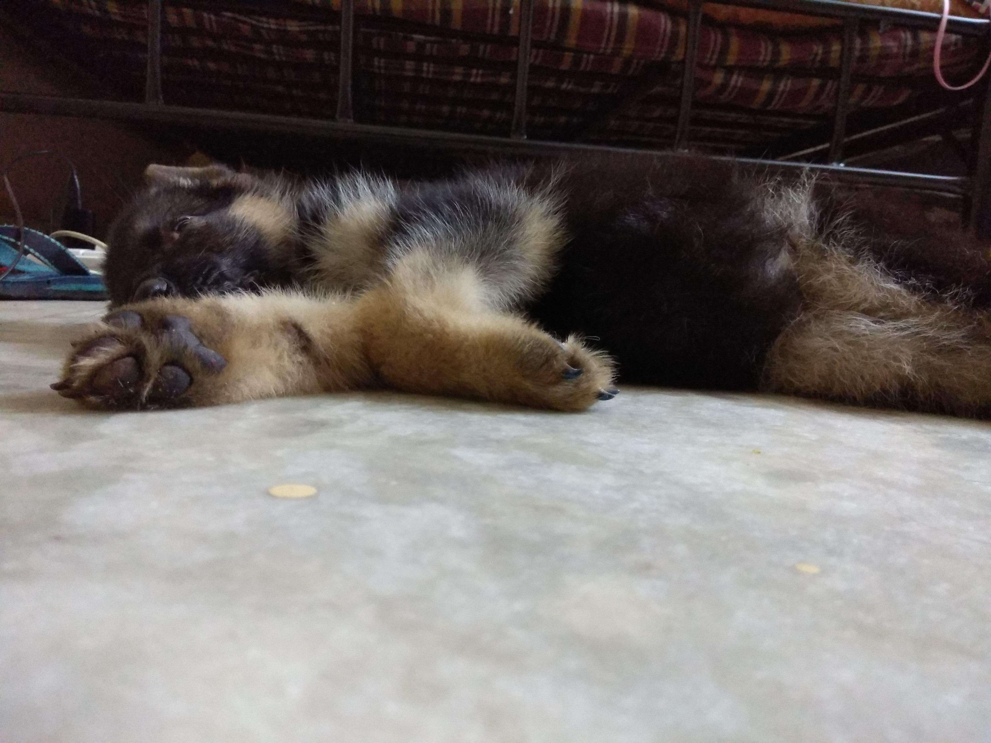 Question details sensitive content