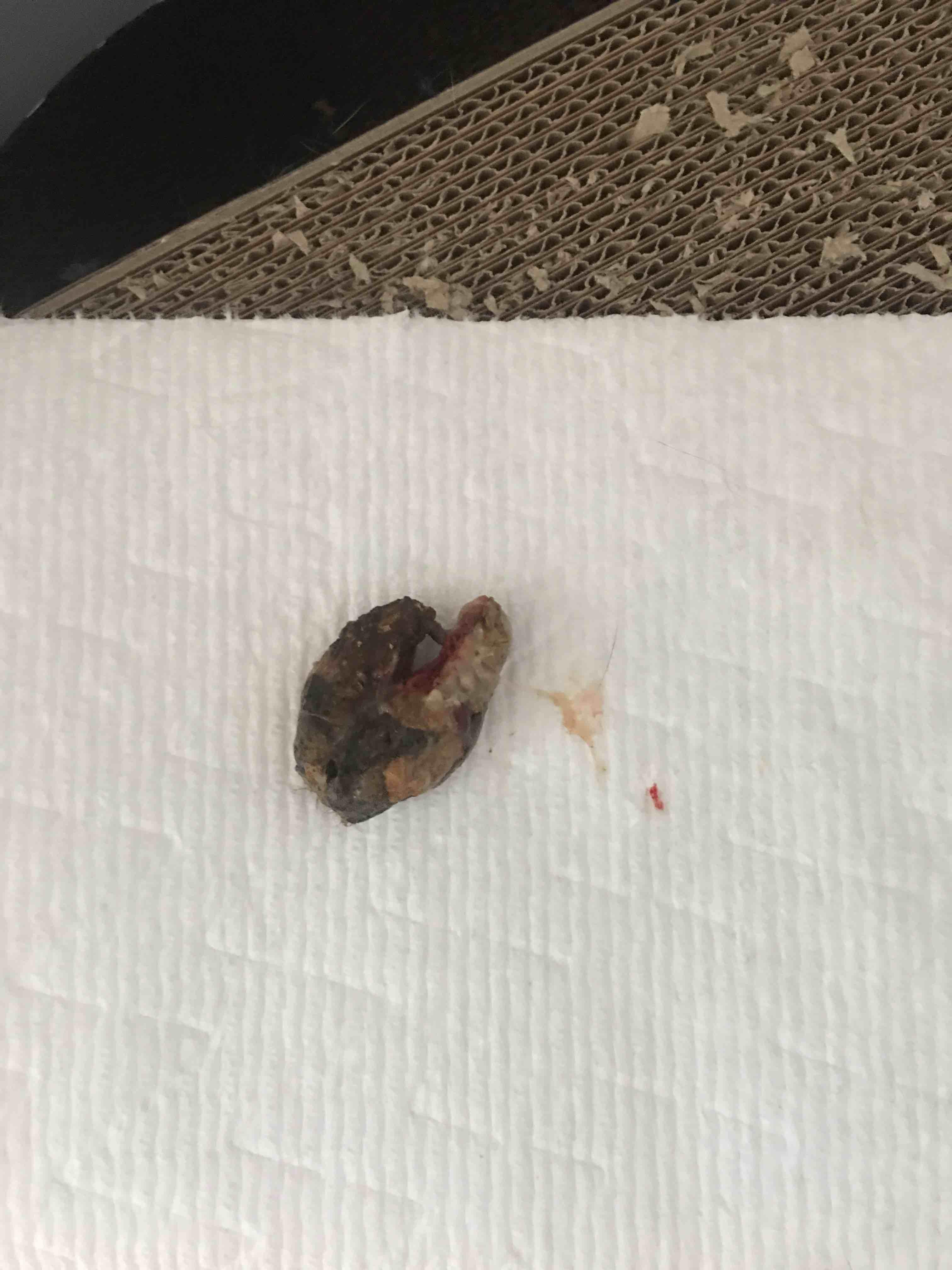 Question details sensitive content