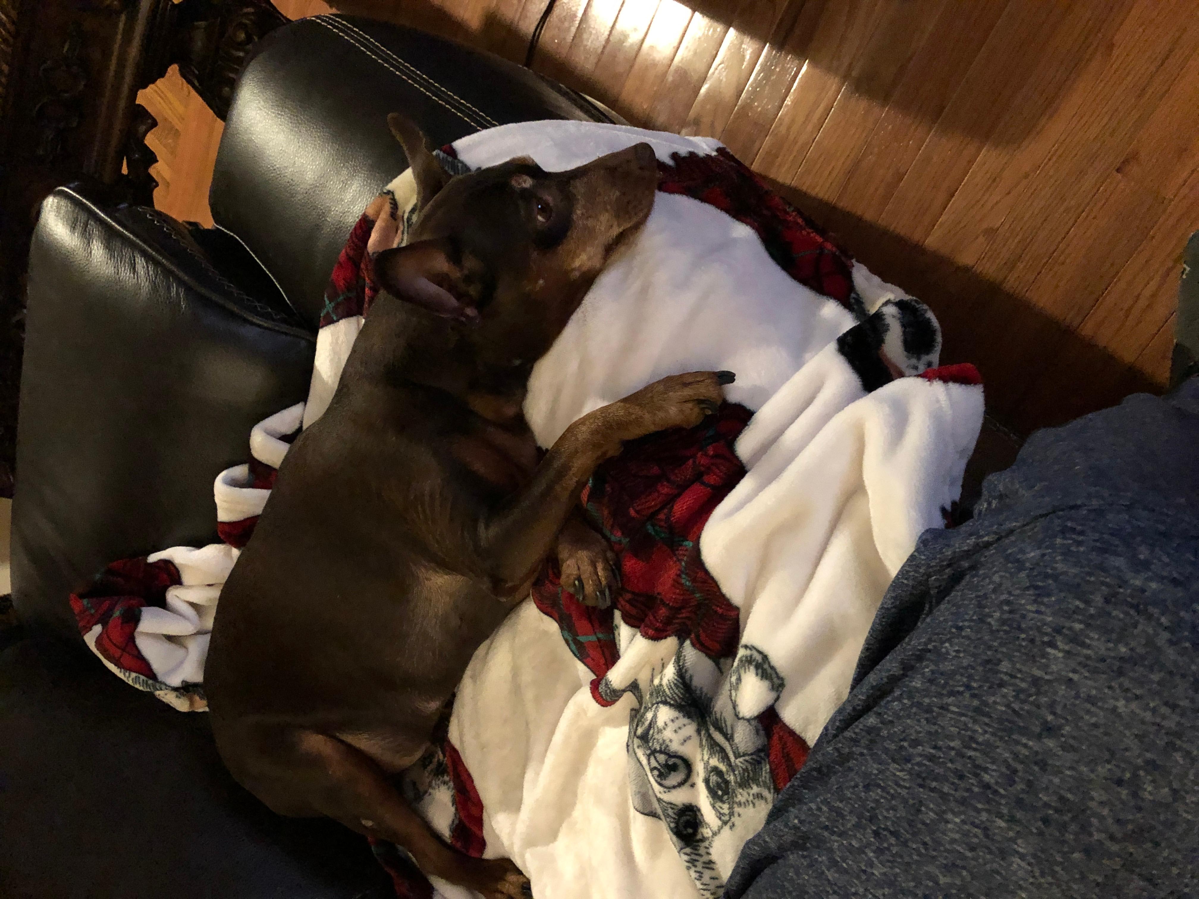 Question details sensitive content