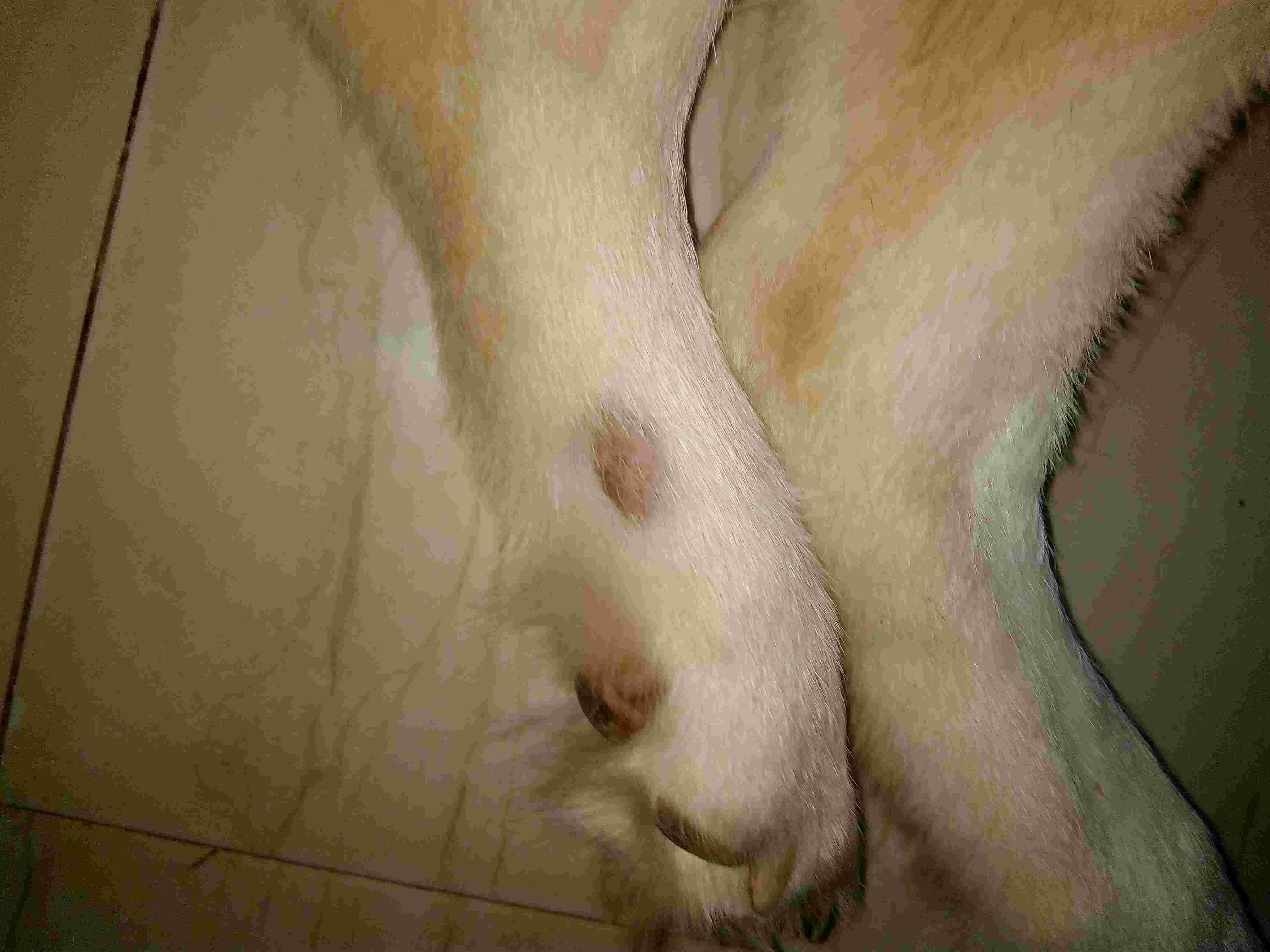 Question details sensitive content