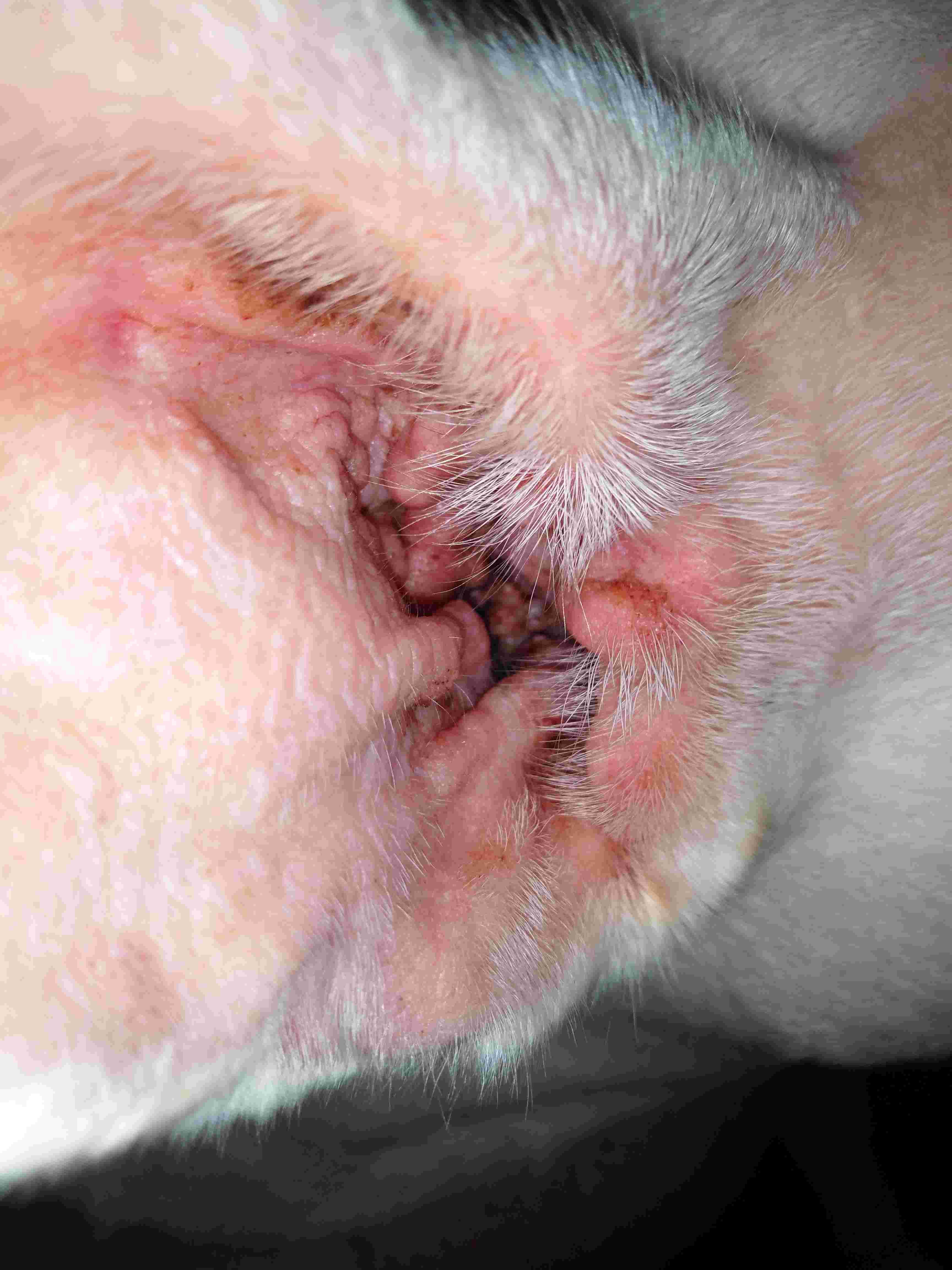 Question details sensitive content