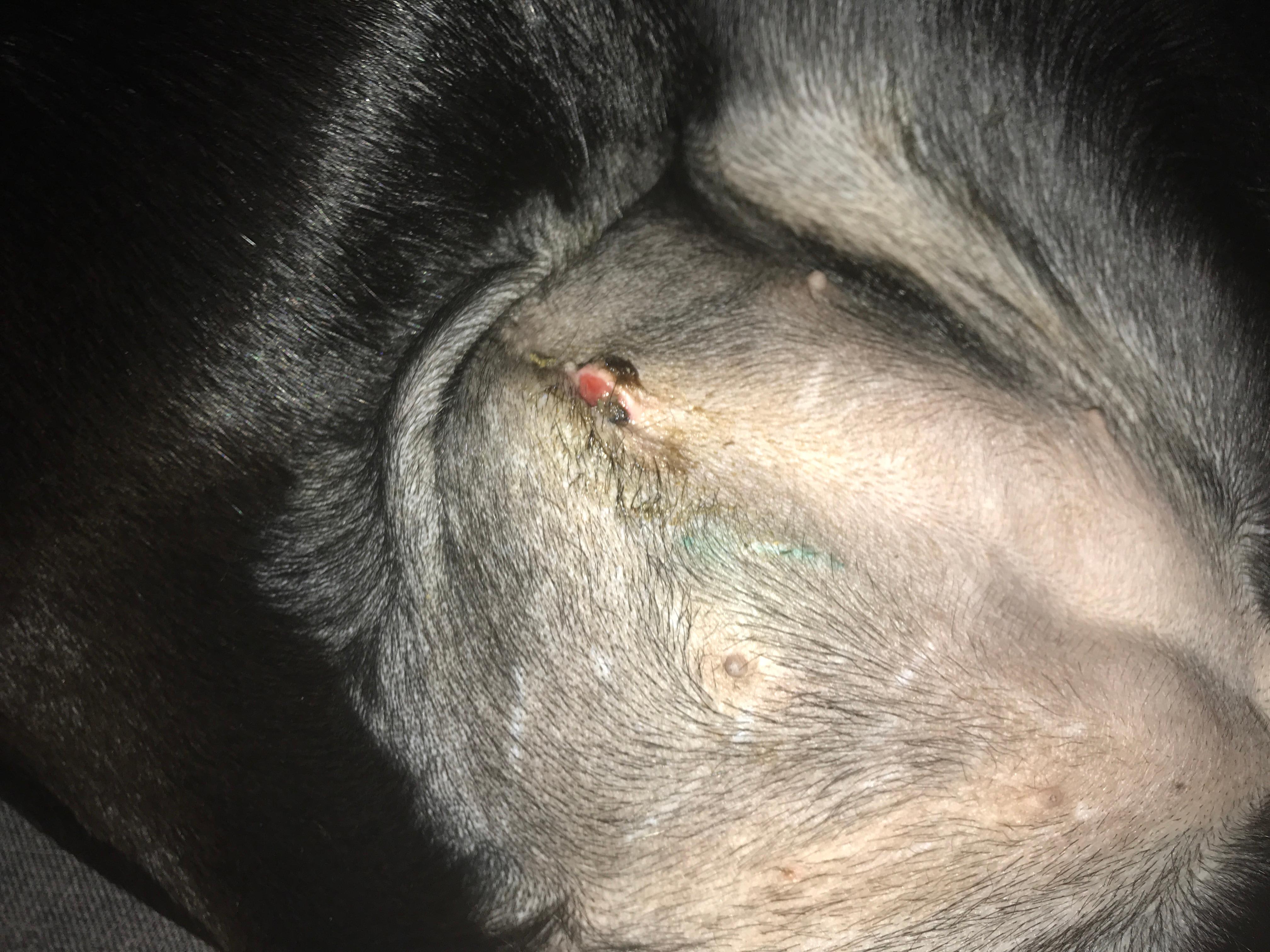 Question details sensitive content