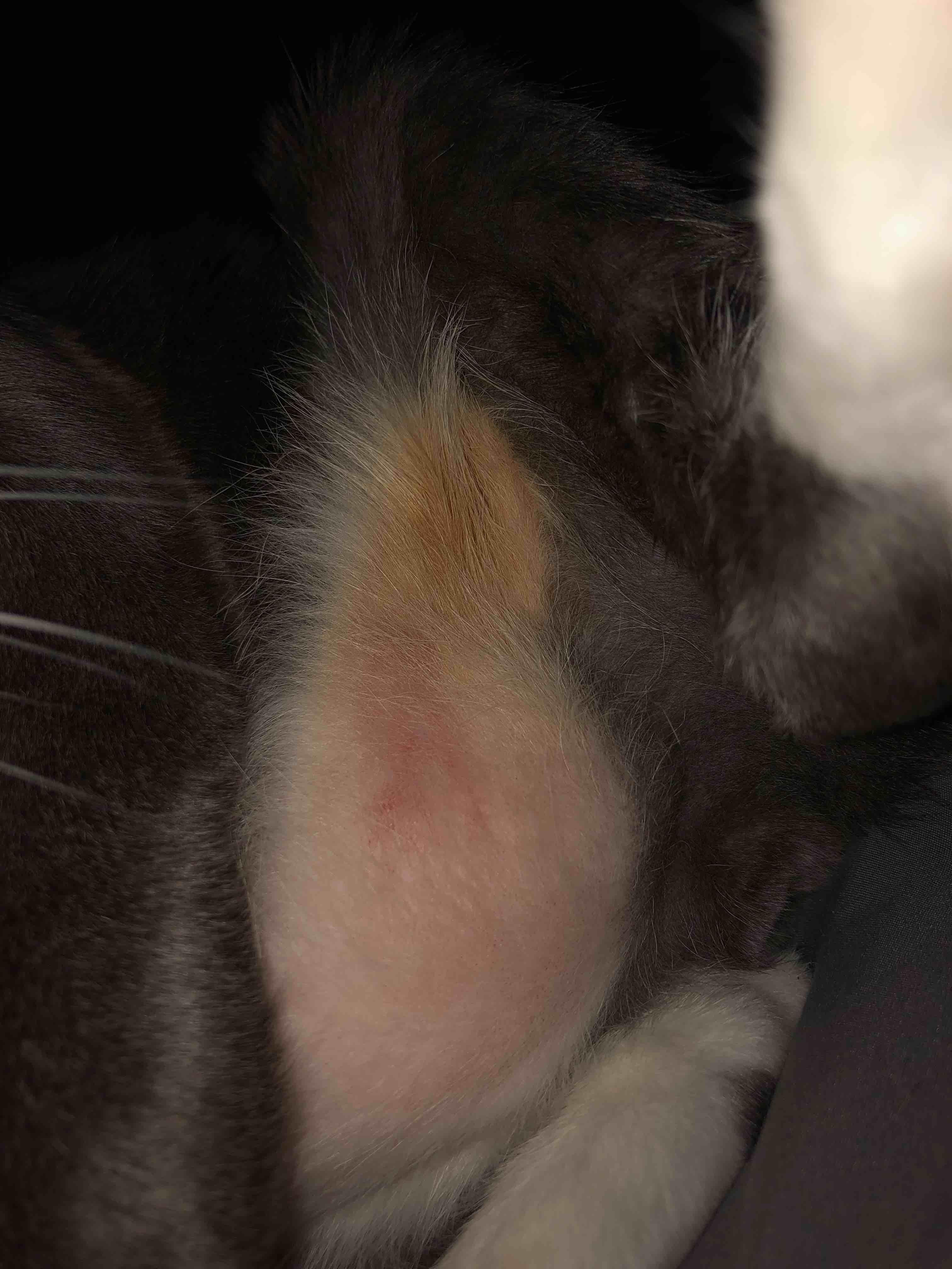 Question details sensitive content