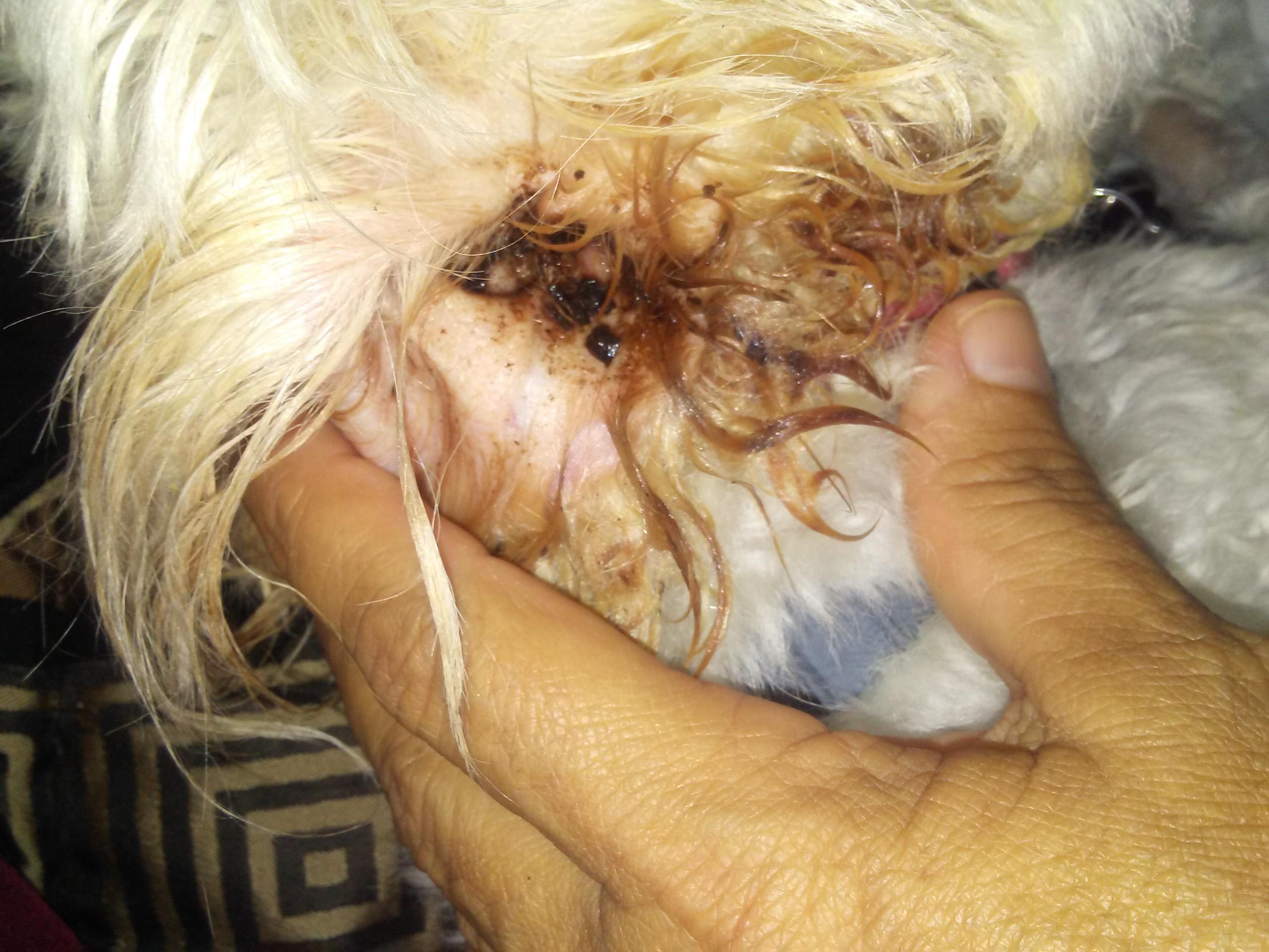 Question details sensitive content