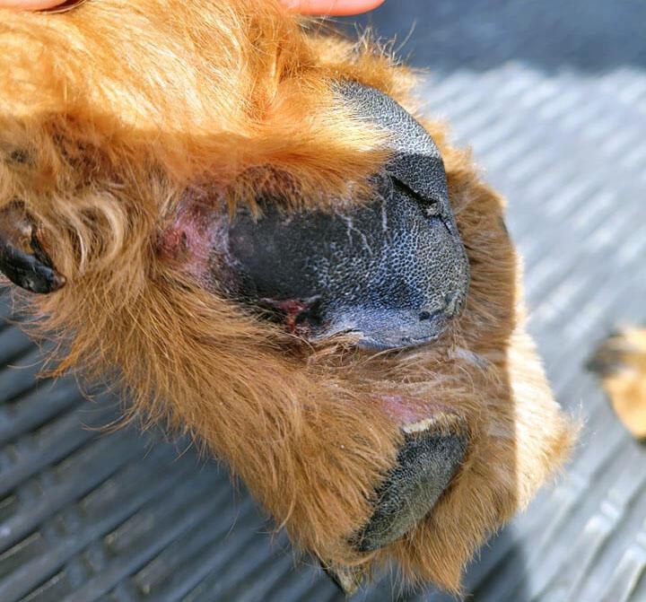 Question details sensitive content