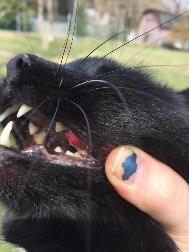 Question details sensitive content