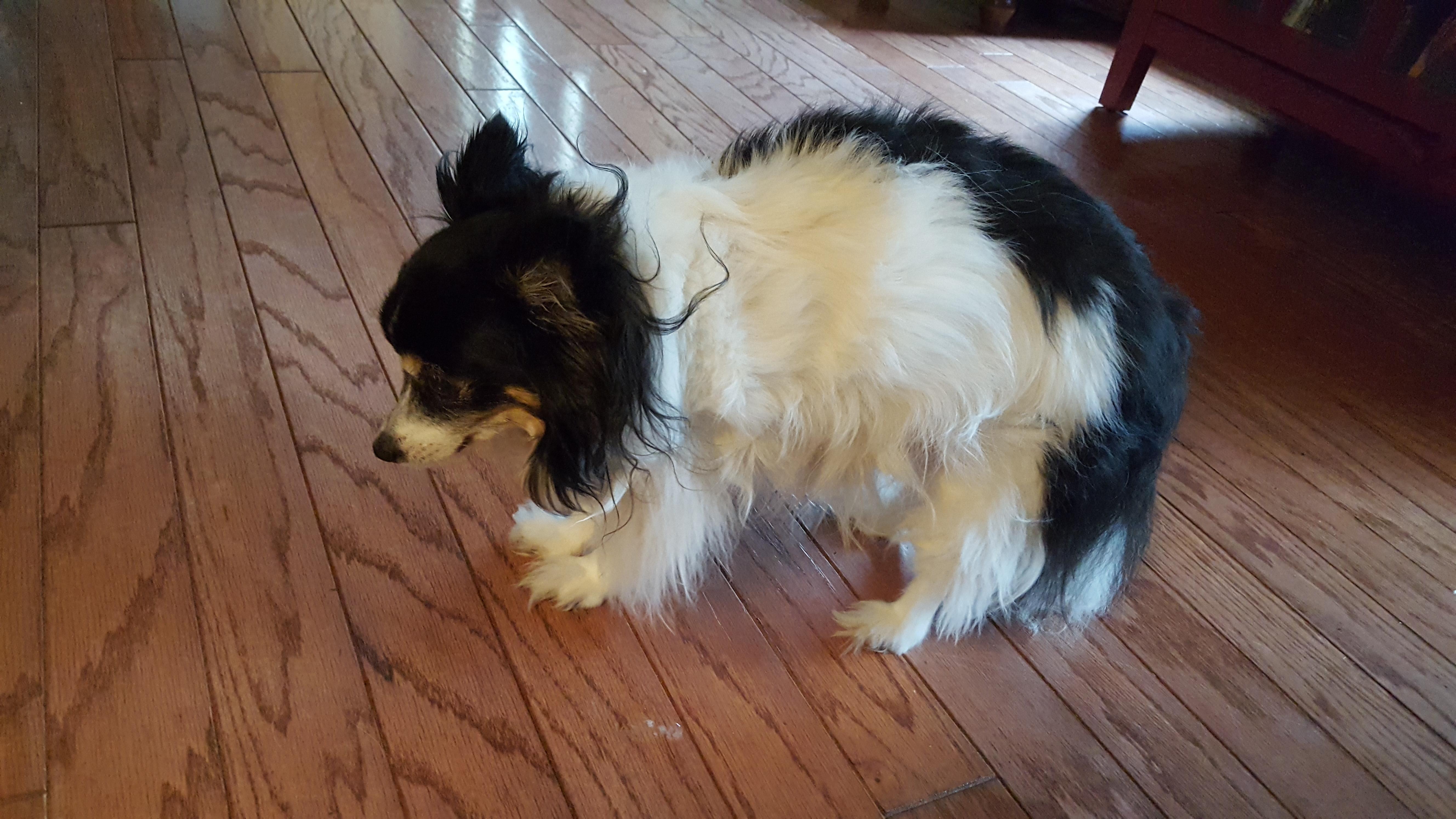 Question details sensitive content