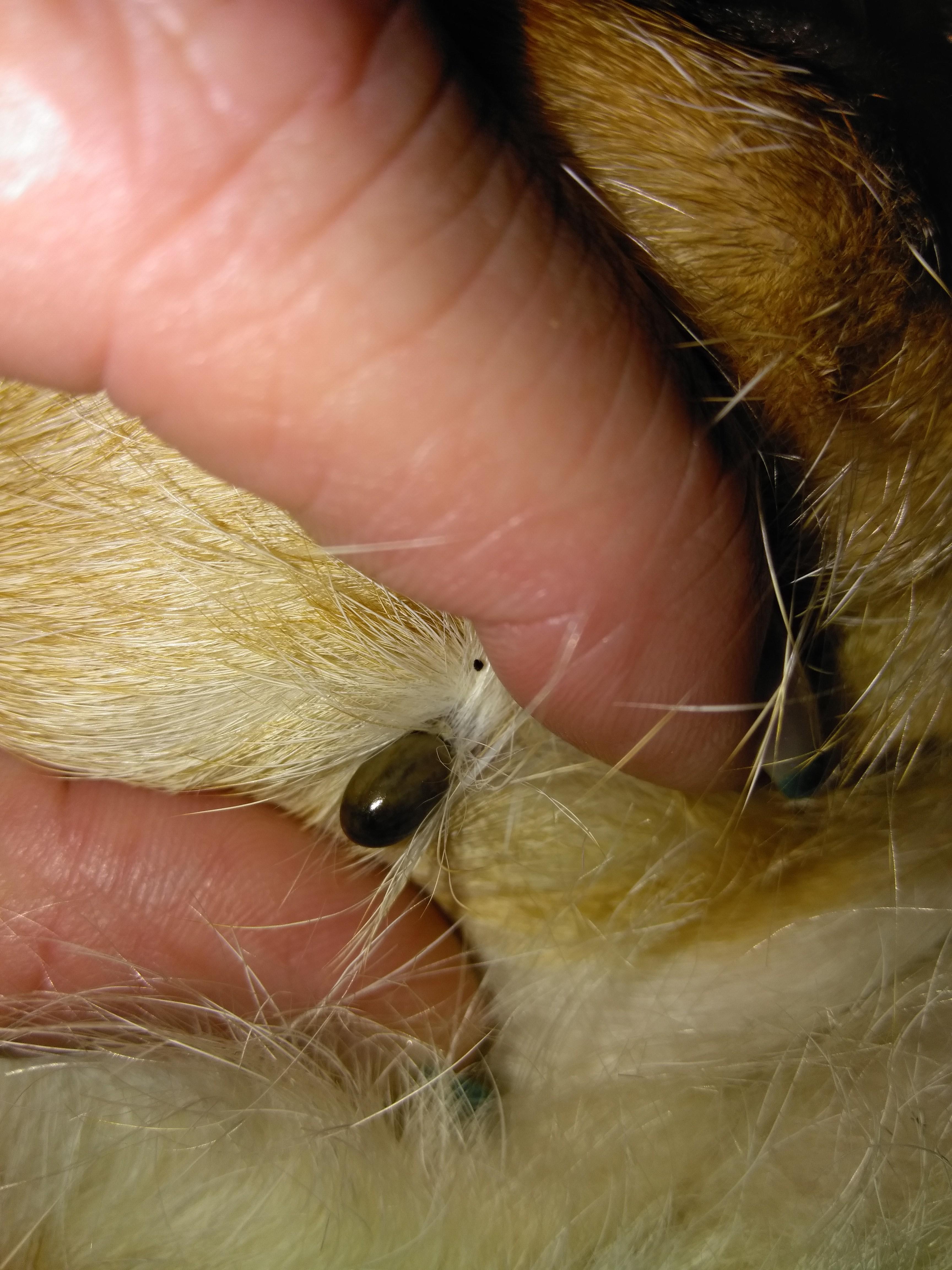 Question details sensitive content