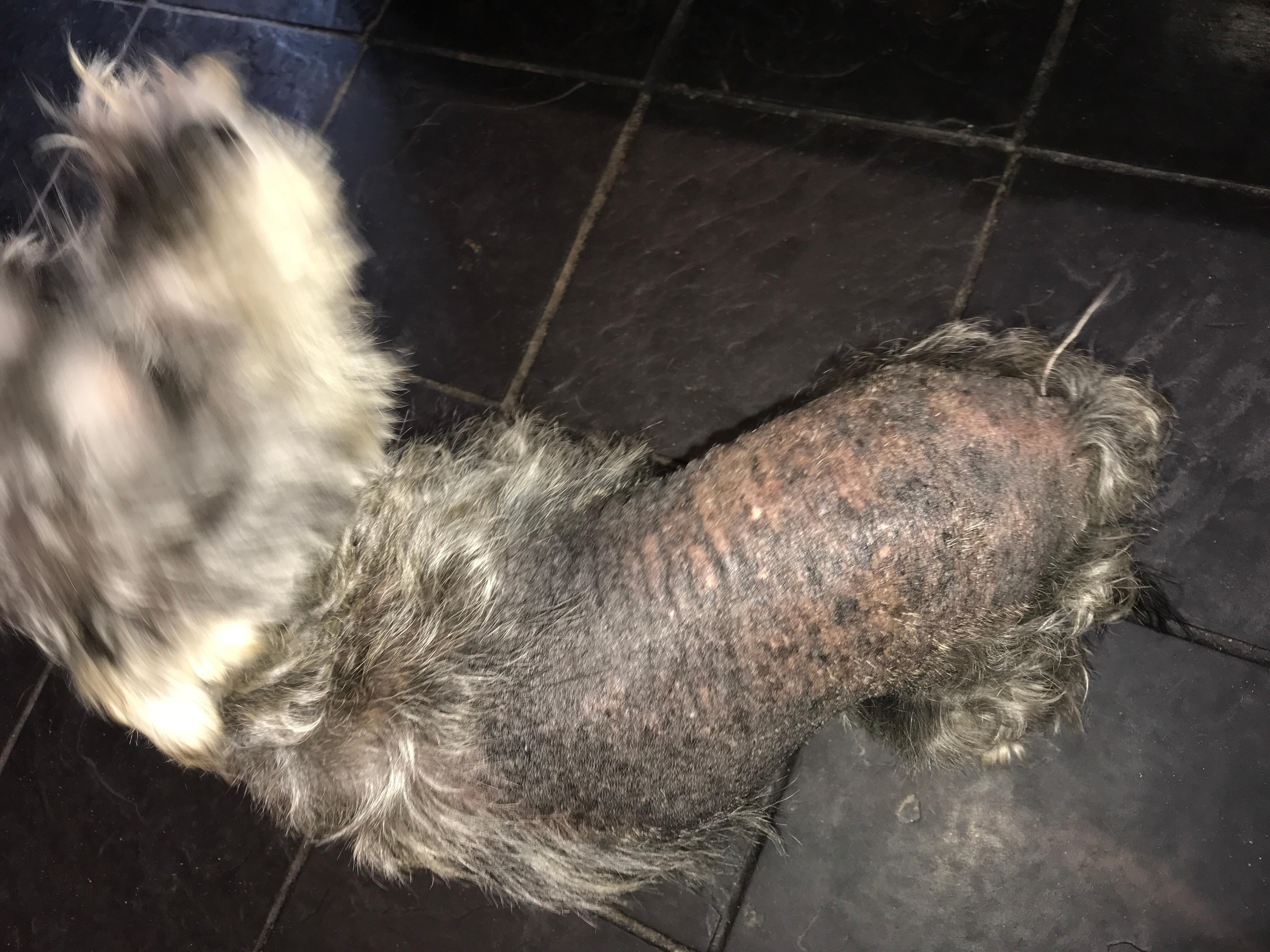 Question details sensitive content